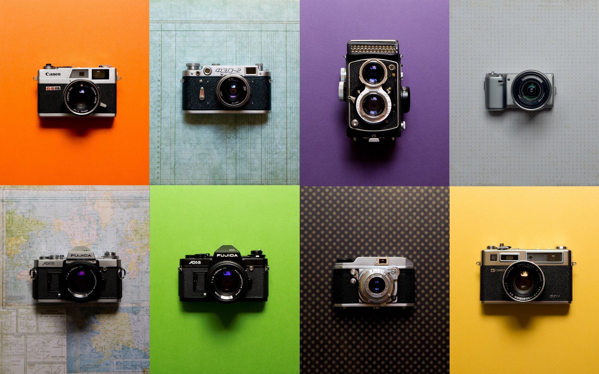 fotocamera sfondo macro