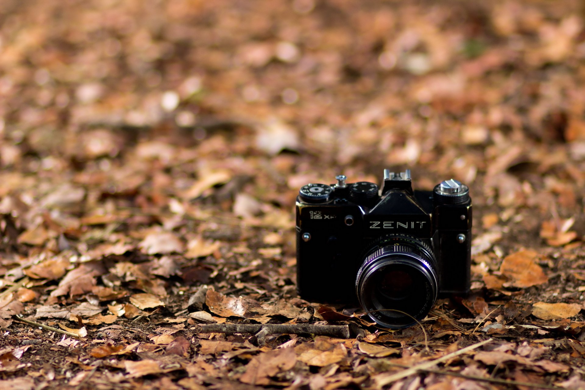 fotocamera zenith sfondo macro