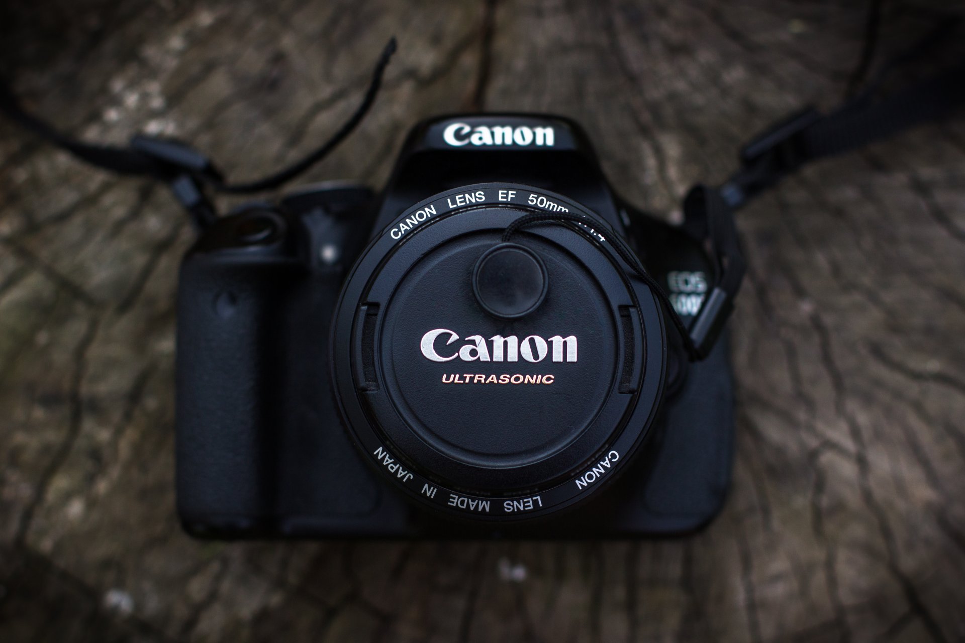 macchina fotografica canon legno lente