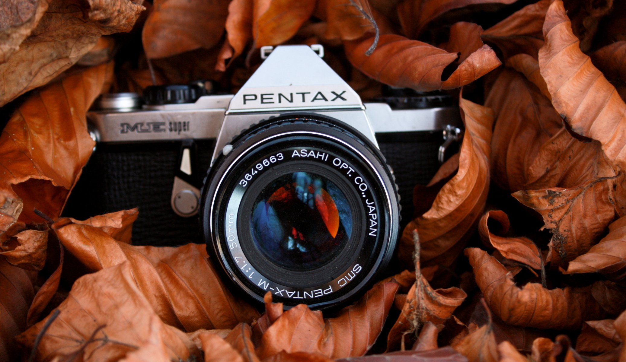 fotocamera macro sfondo