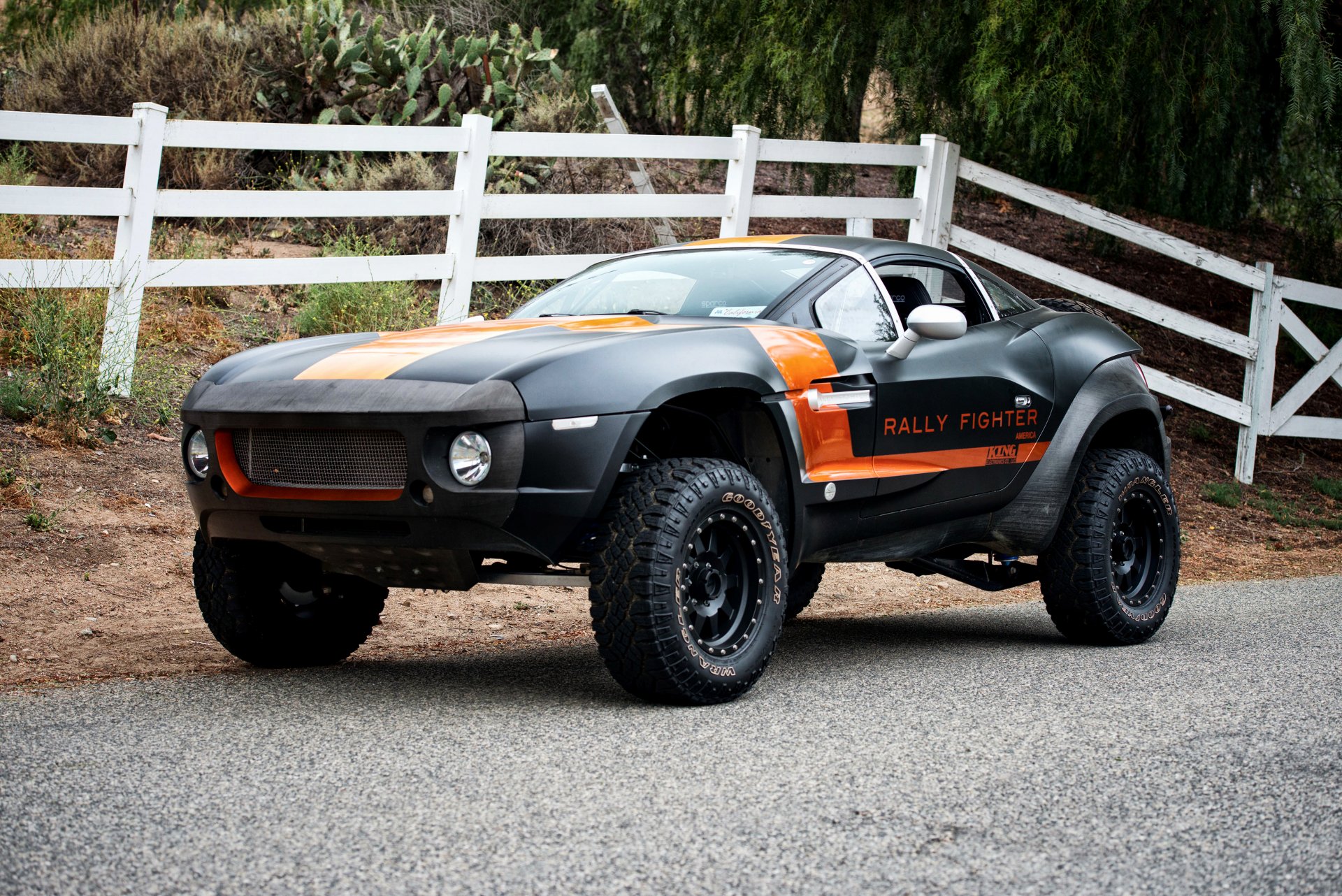 2010 motori locali rally fighter