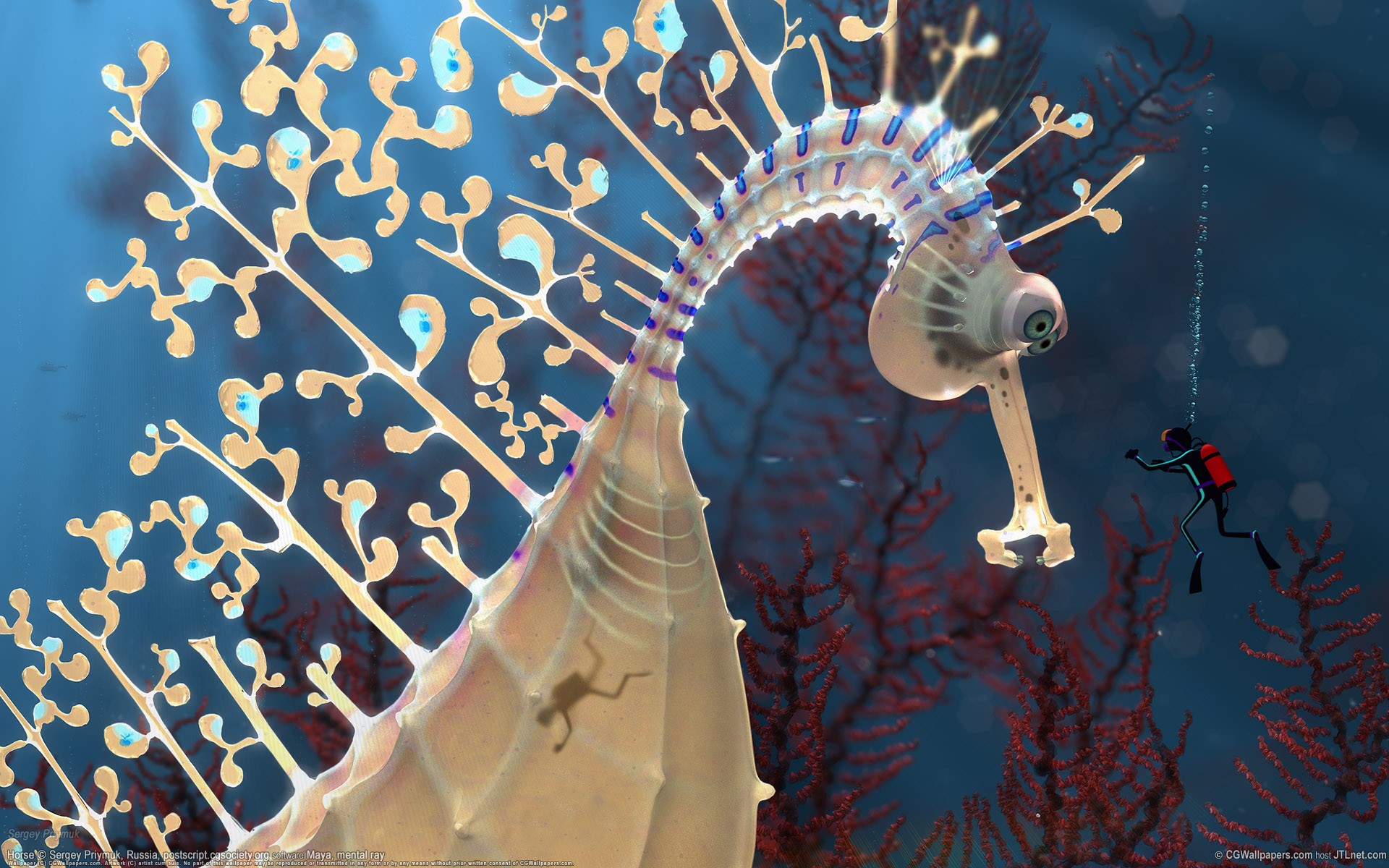 gigante cavalluccio marino subacqueo