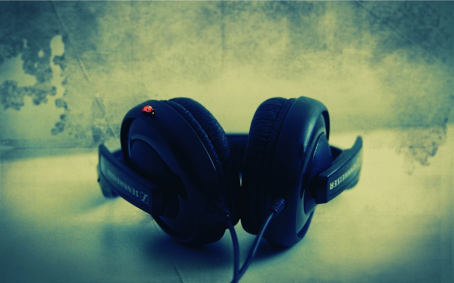 cuffie grandi coccinella