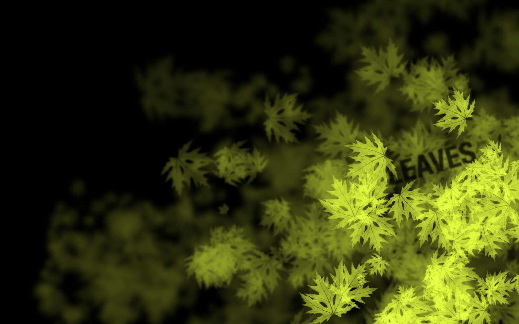 foglie acero iscrizione giallo sfondo nero verde sfondo scuro figura parola texture acero