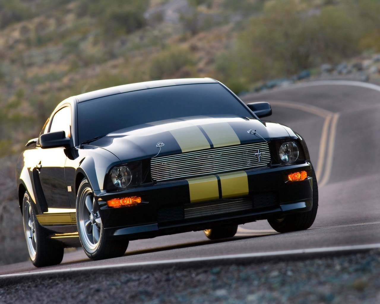 auto mustang strada