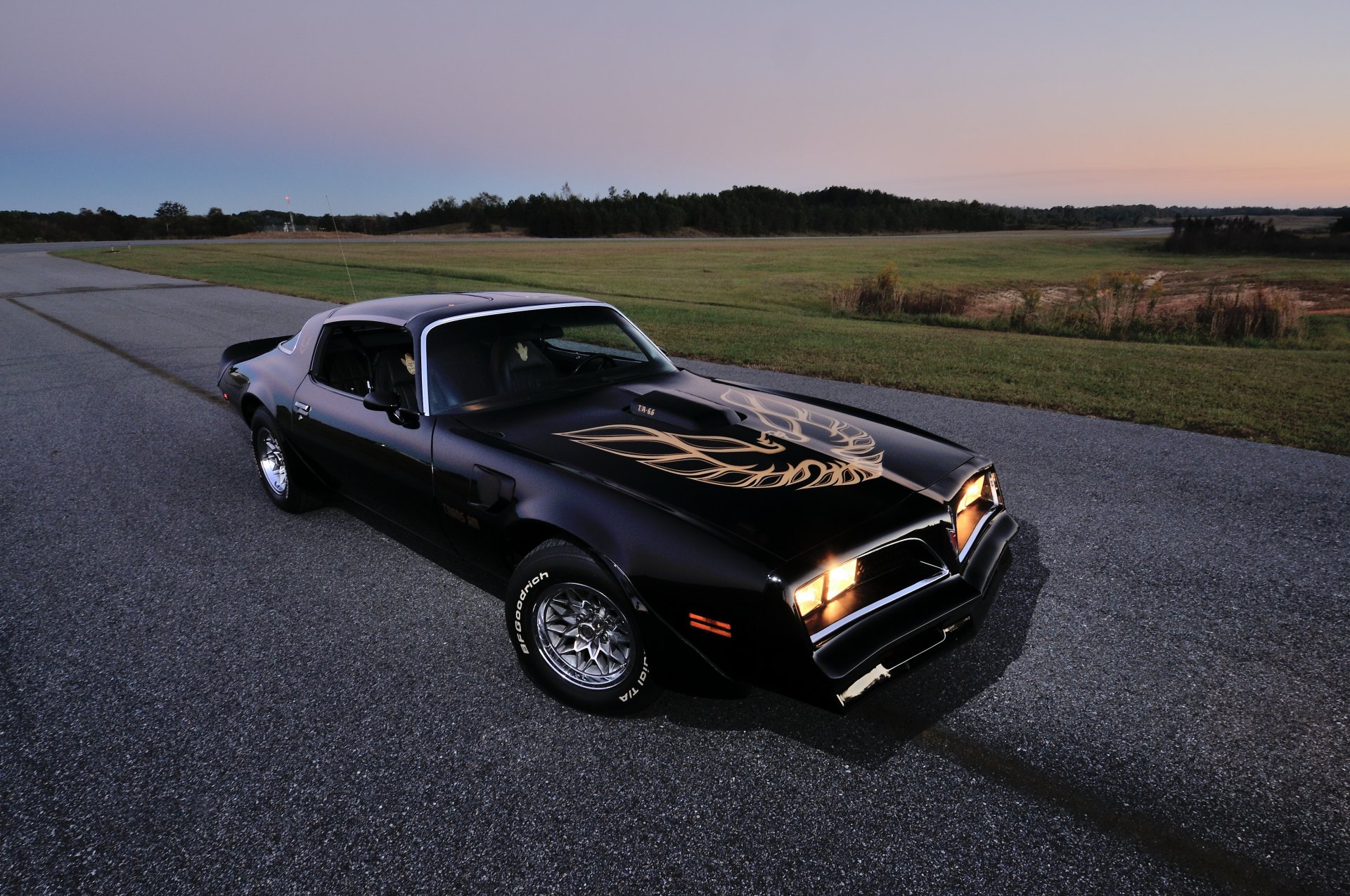 1978 pontiac firebird trans am ws6 t-top pontiac uccello di fuoco