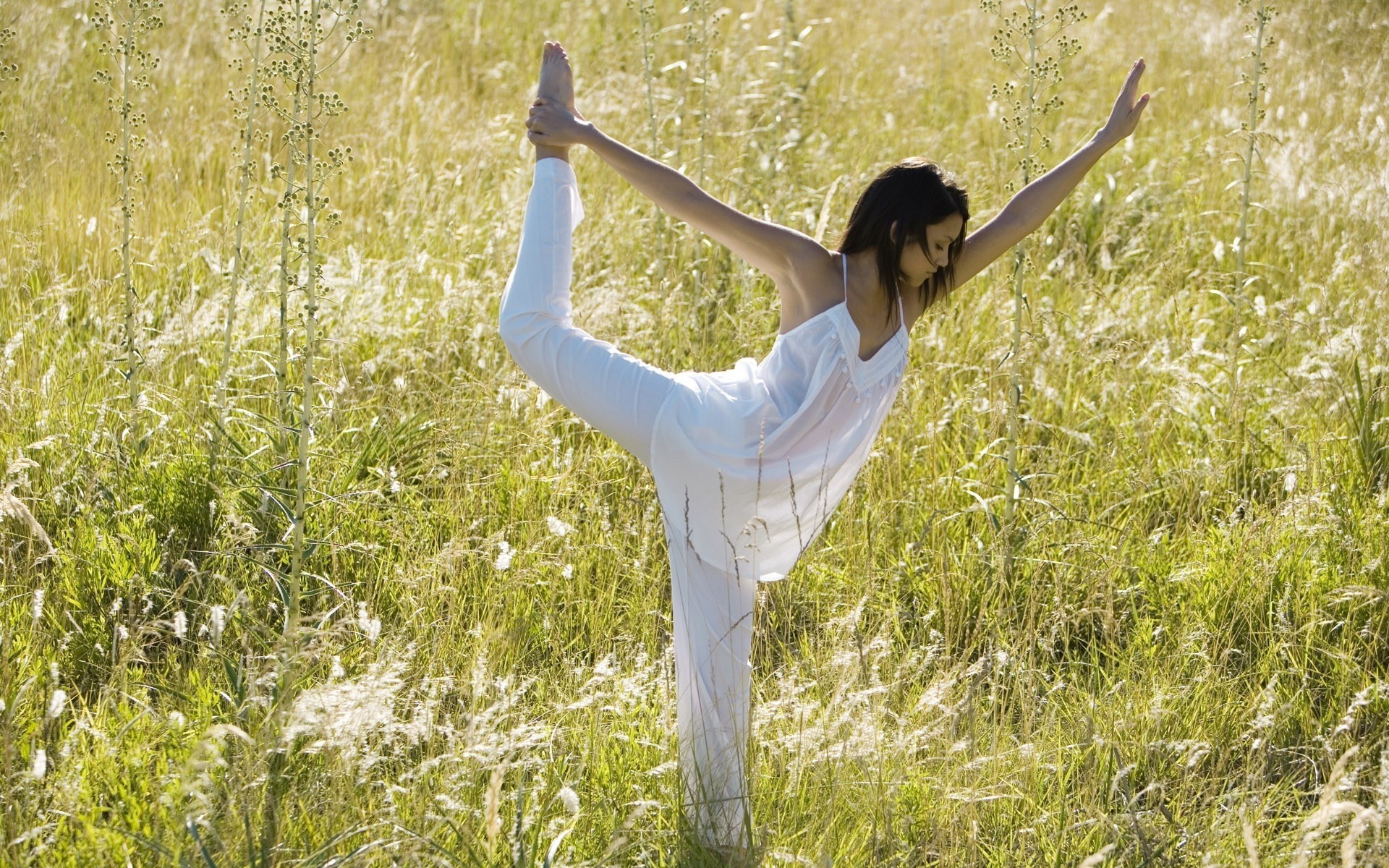 bruna erba donna mig-15 ragazza