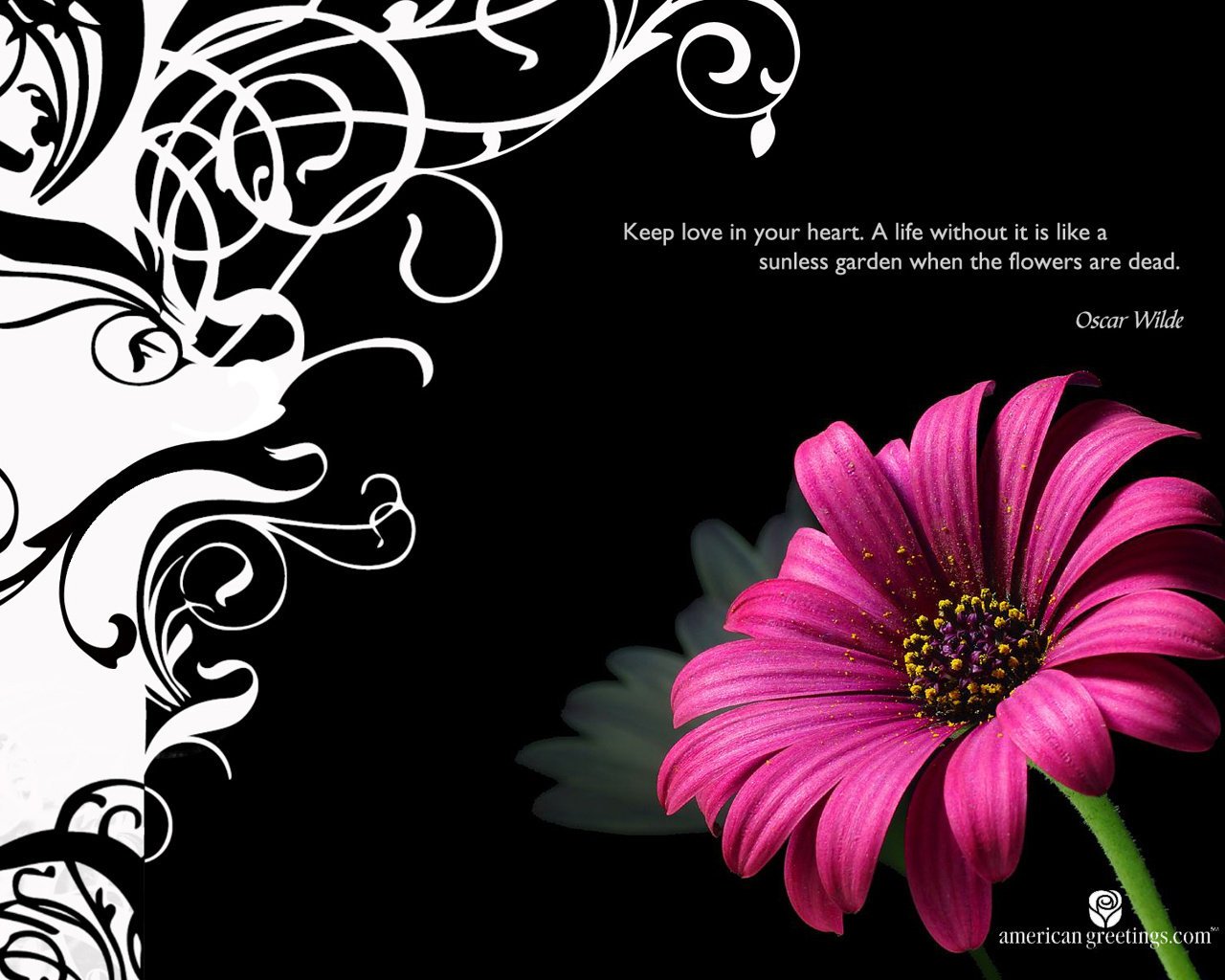 fiore nero bianco