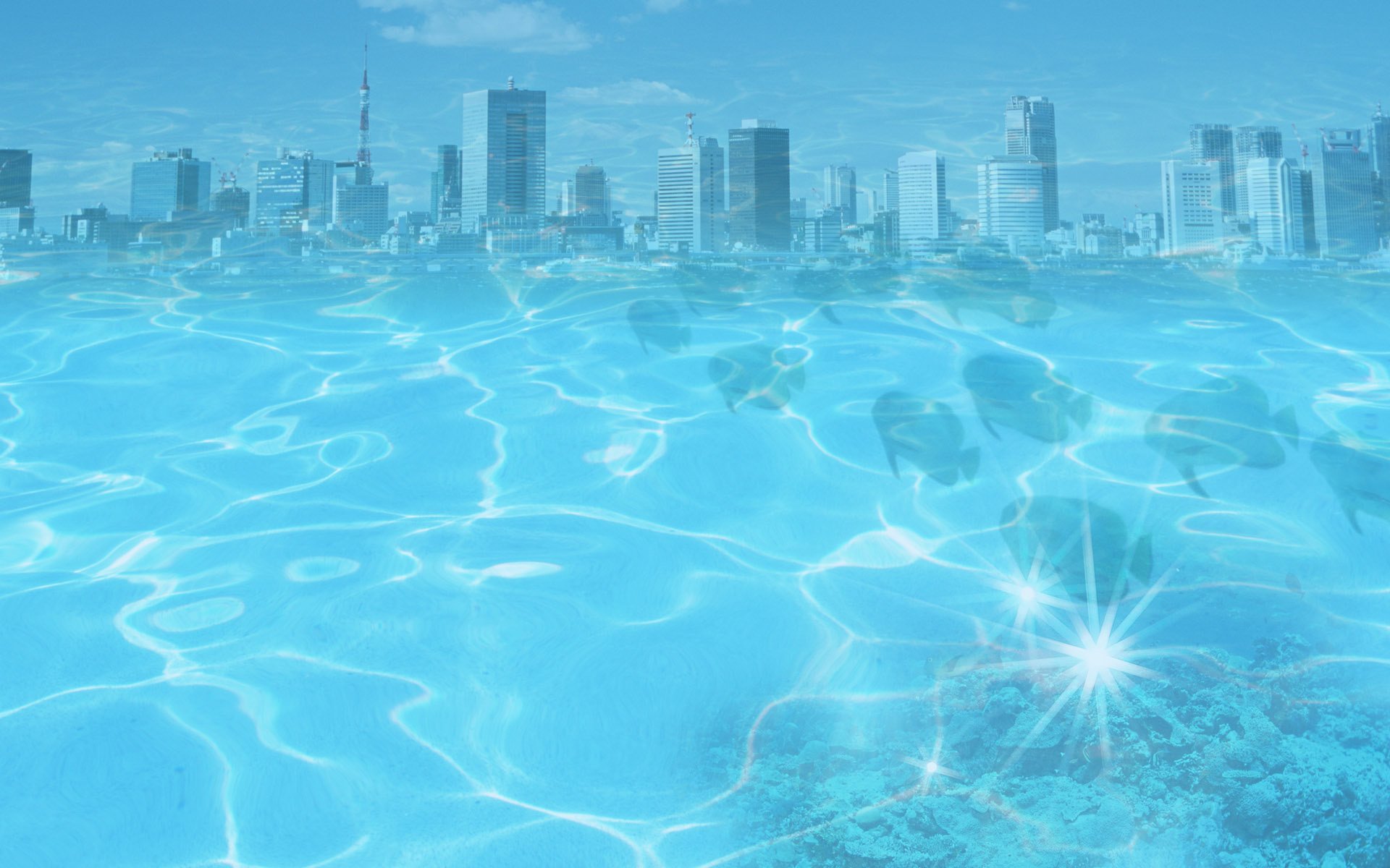 riflessione città acqua pesce creativo