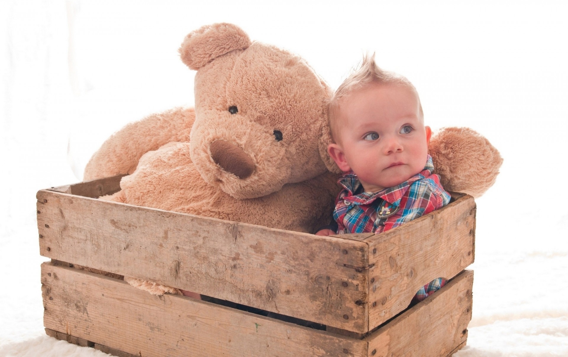 ragazzo giocattoli cassa orsacchiotto haer bambino