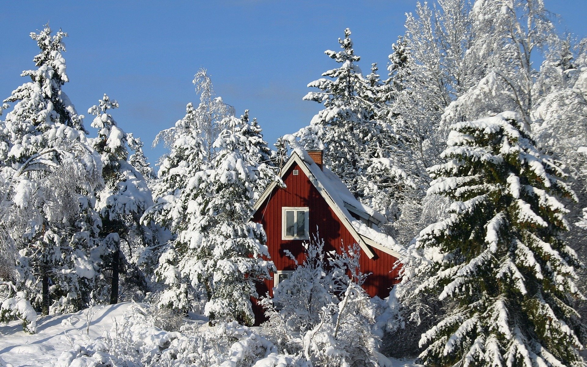 zama foresta neve casa finestre cielo alberi