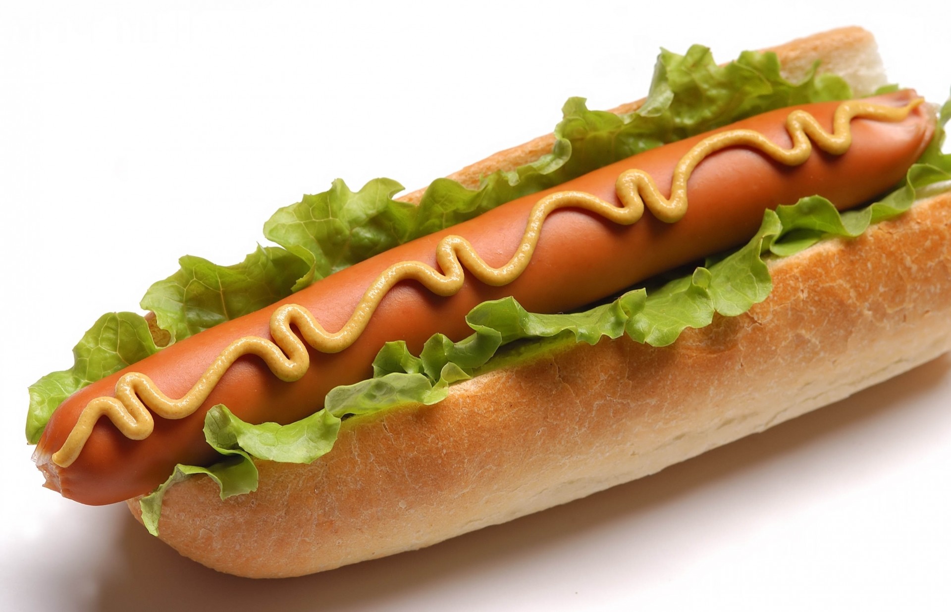 salsicce panino sfondo bianco cavolo senape