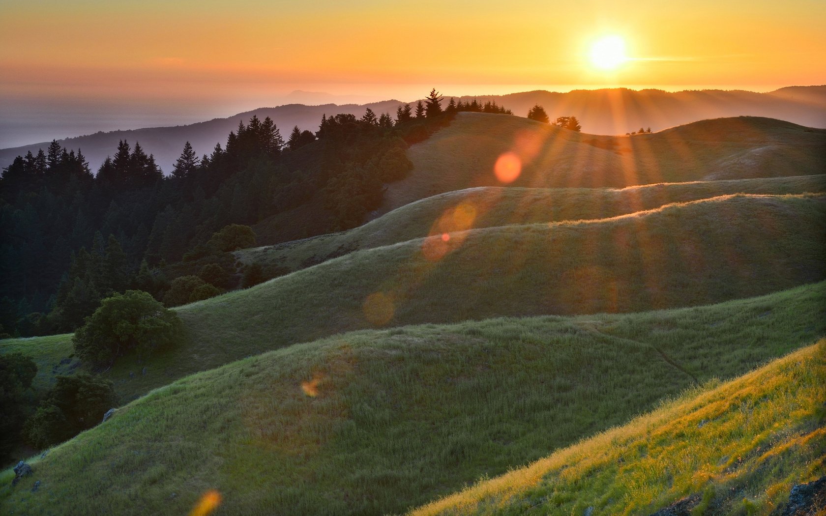 foresta abbagliamento colline sole mattina raggi