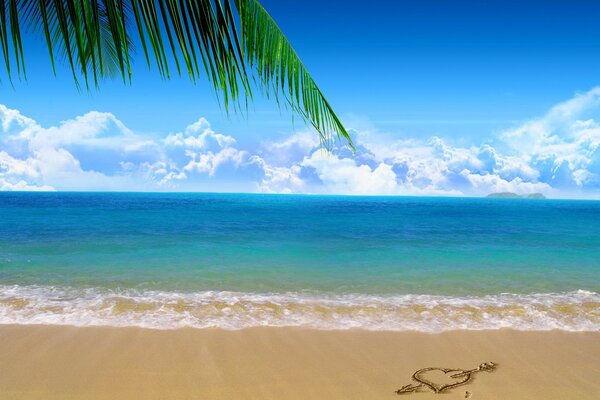 Foto della spiaggia con il mare e un rametto di Palma