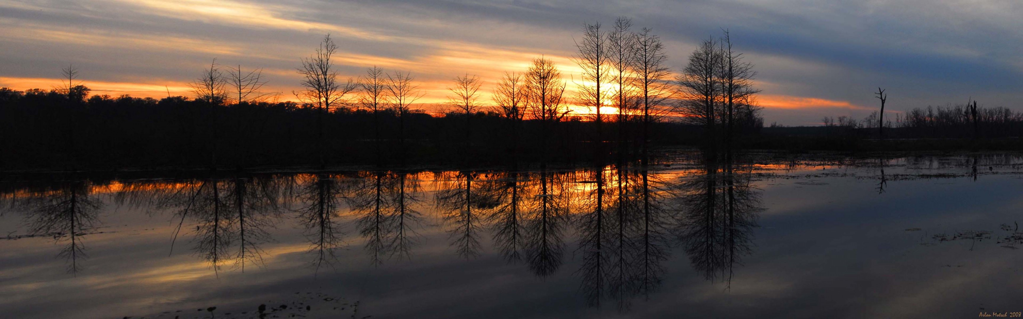 tramonto fiume foresta