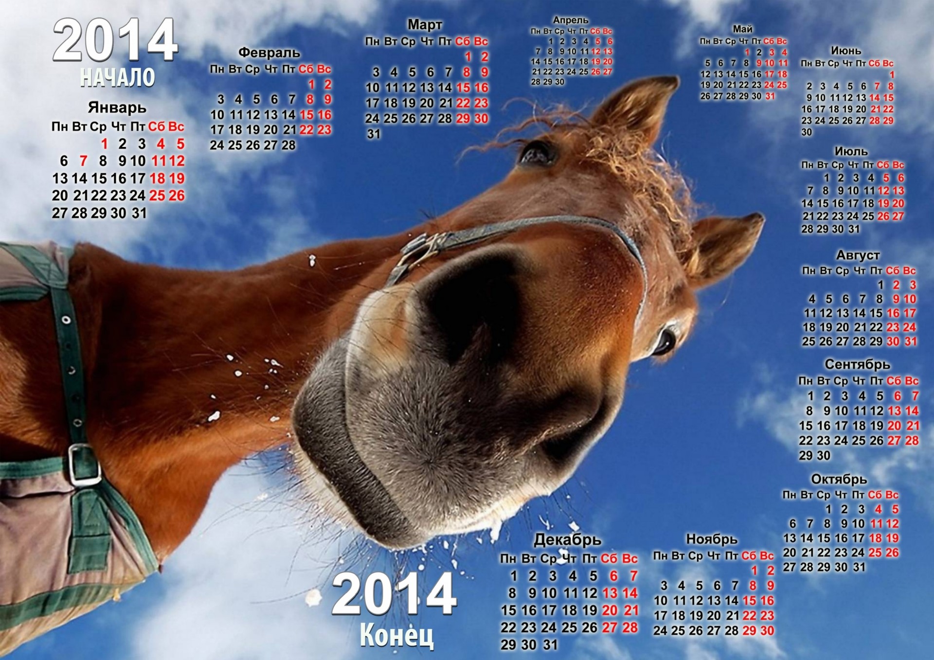 2014 anno del cavallo calendario