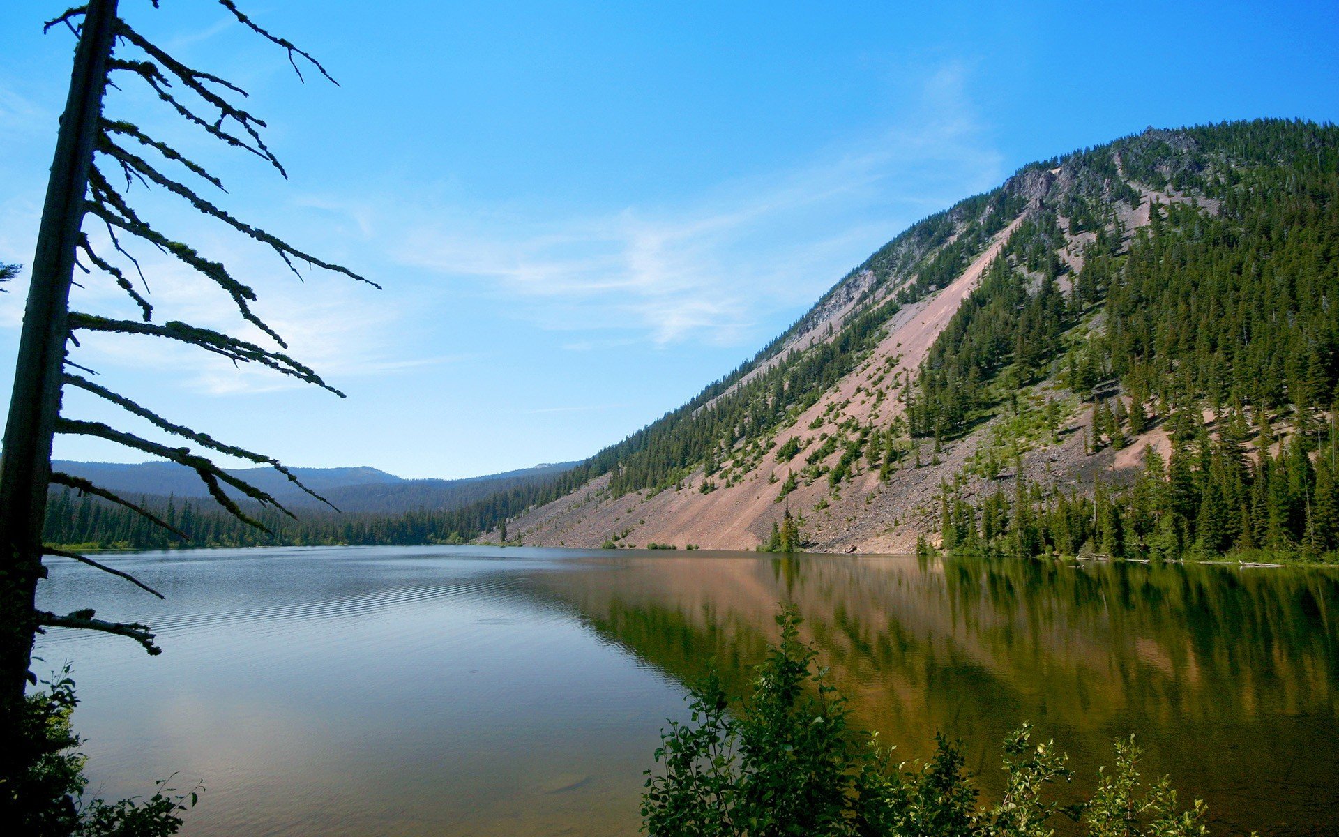 montagna pendio mare albero spiaggia riva acqua