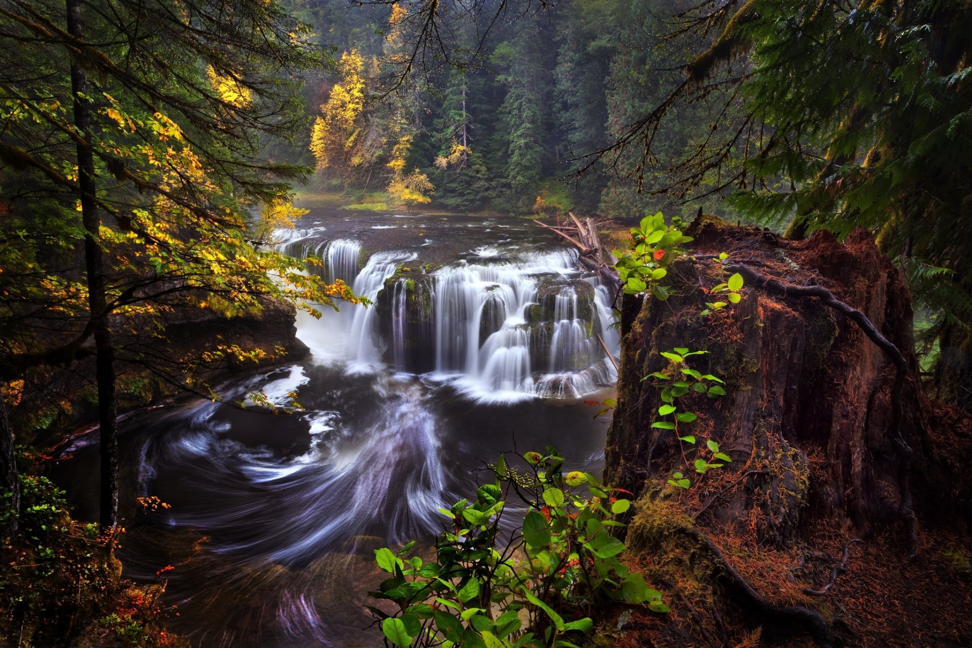 stati uniti stato washington fiume lewis lower lewis river falls autunno foresta