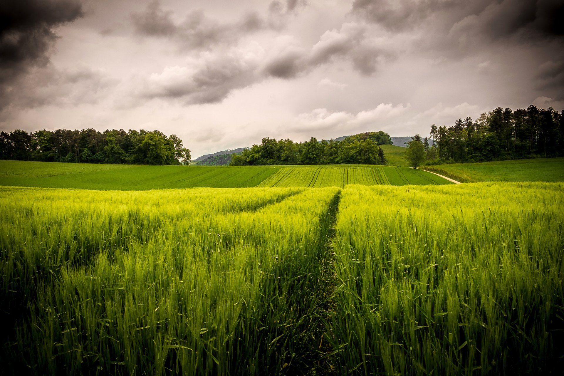 cielo nuvole campo alberi colline