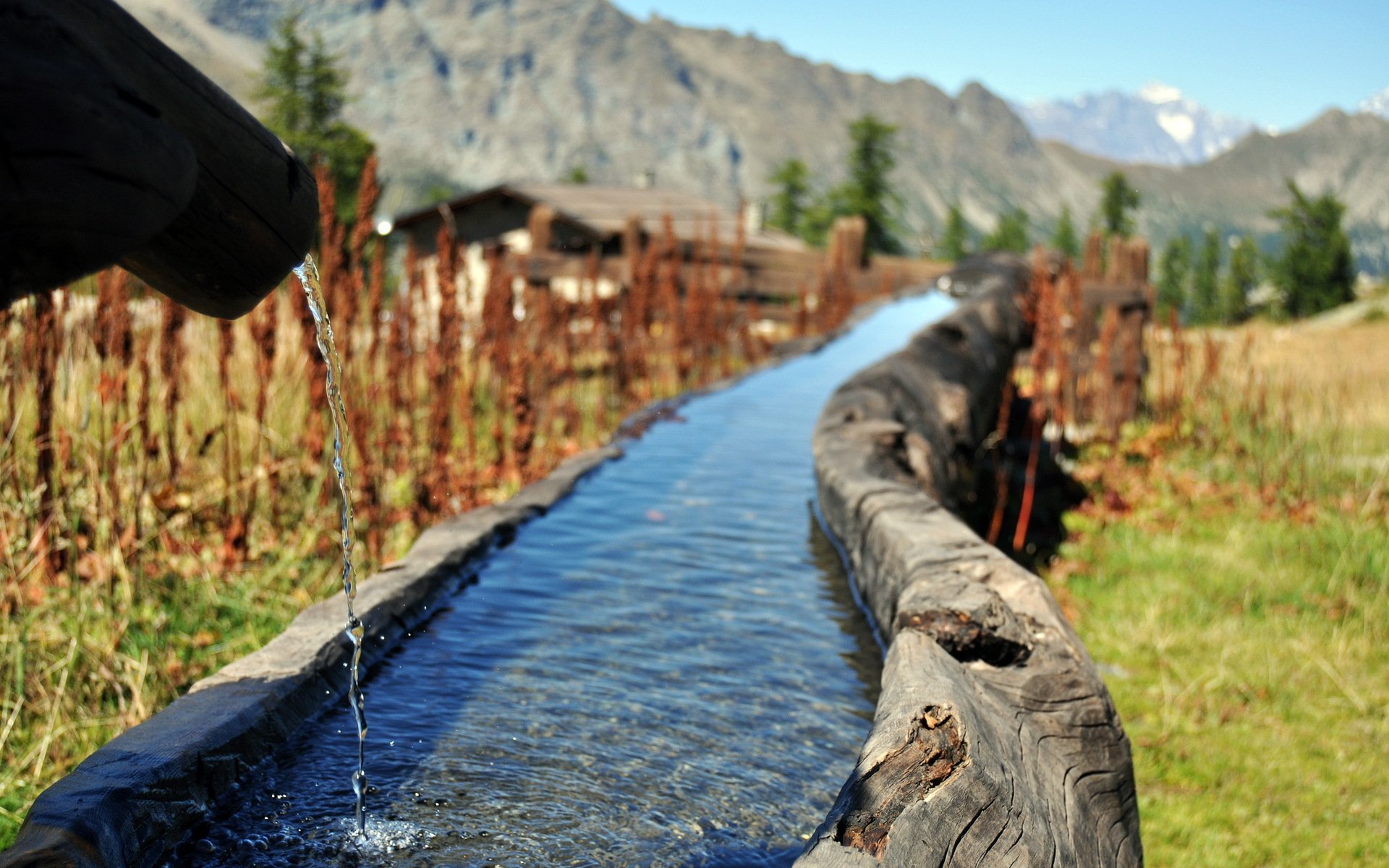 ruscello montagne acqua