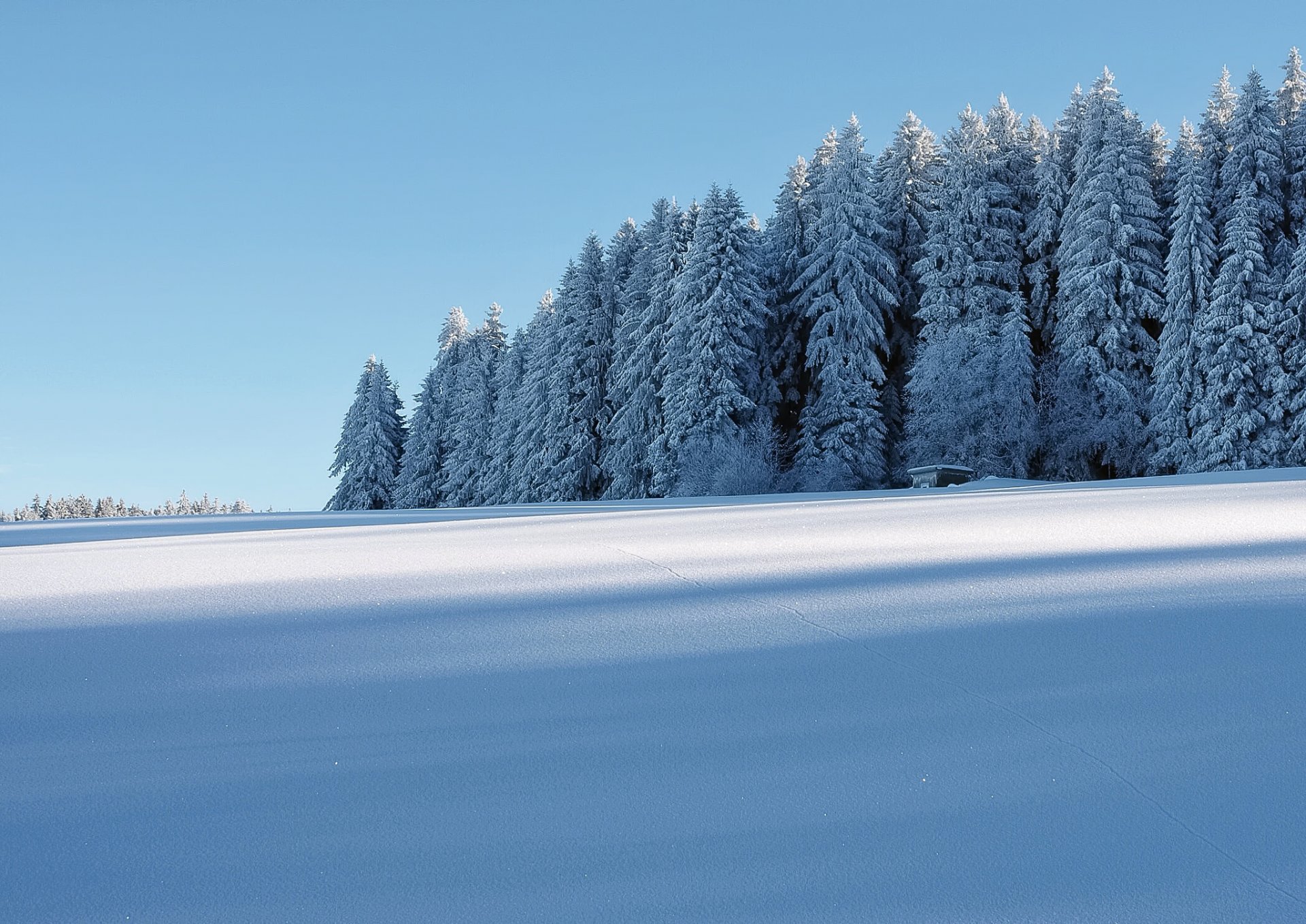 inverno neve foresta casa gelo