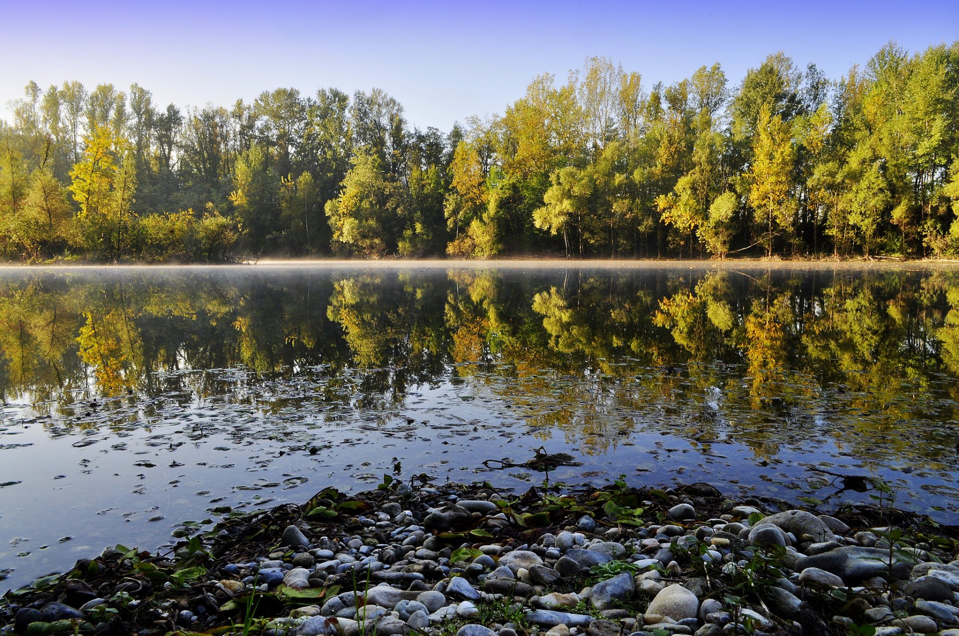 lago fiume pietre foresta alberi riflessione