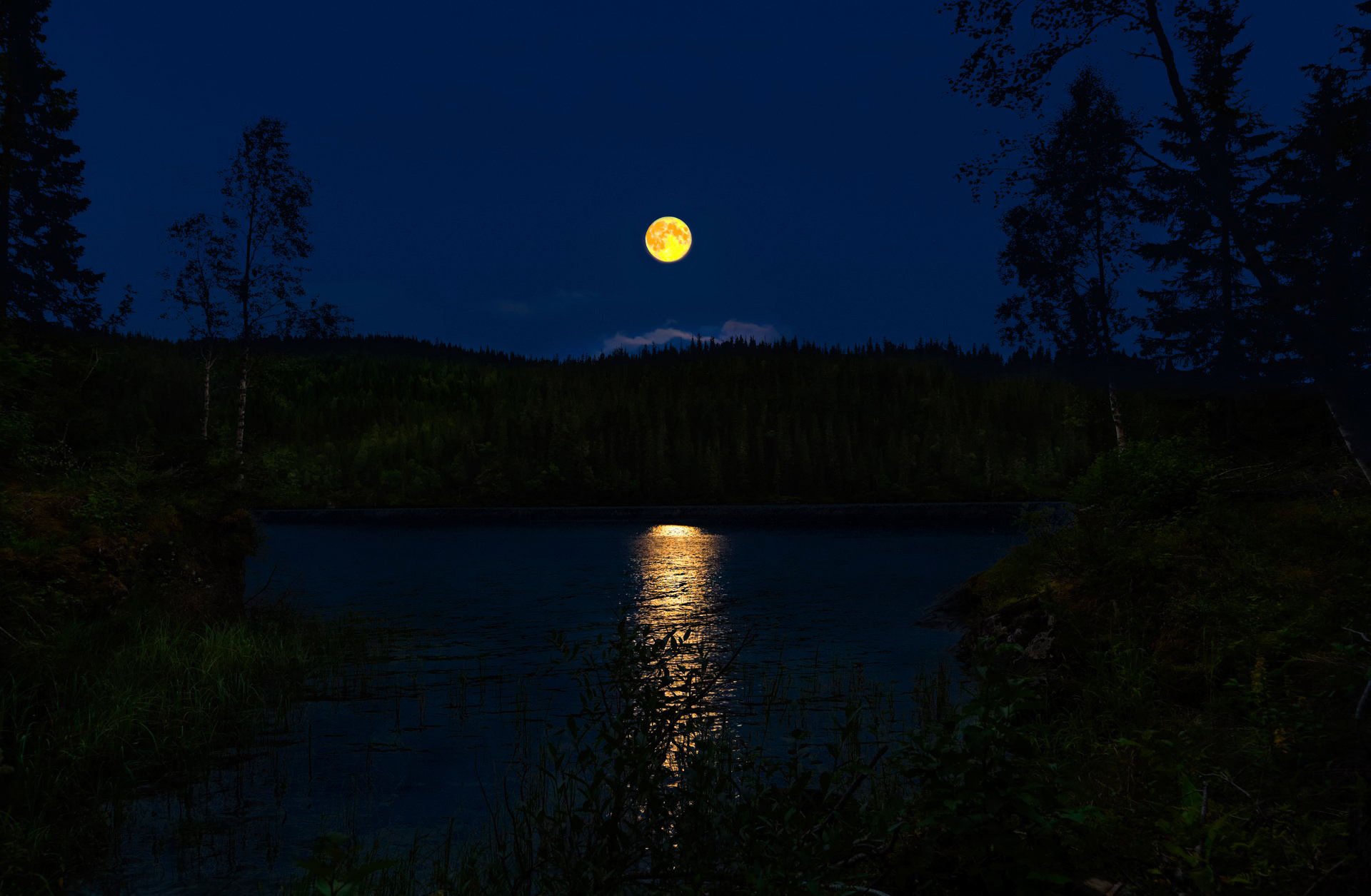 notte norvegia luna piena sentiero lunare fiume foresta