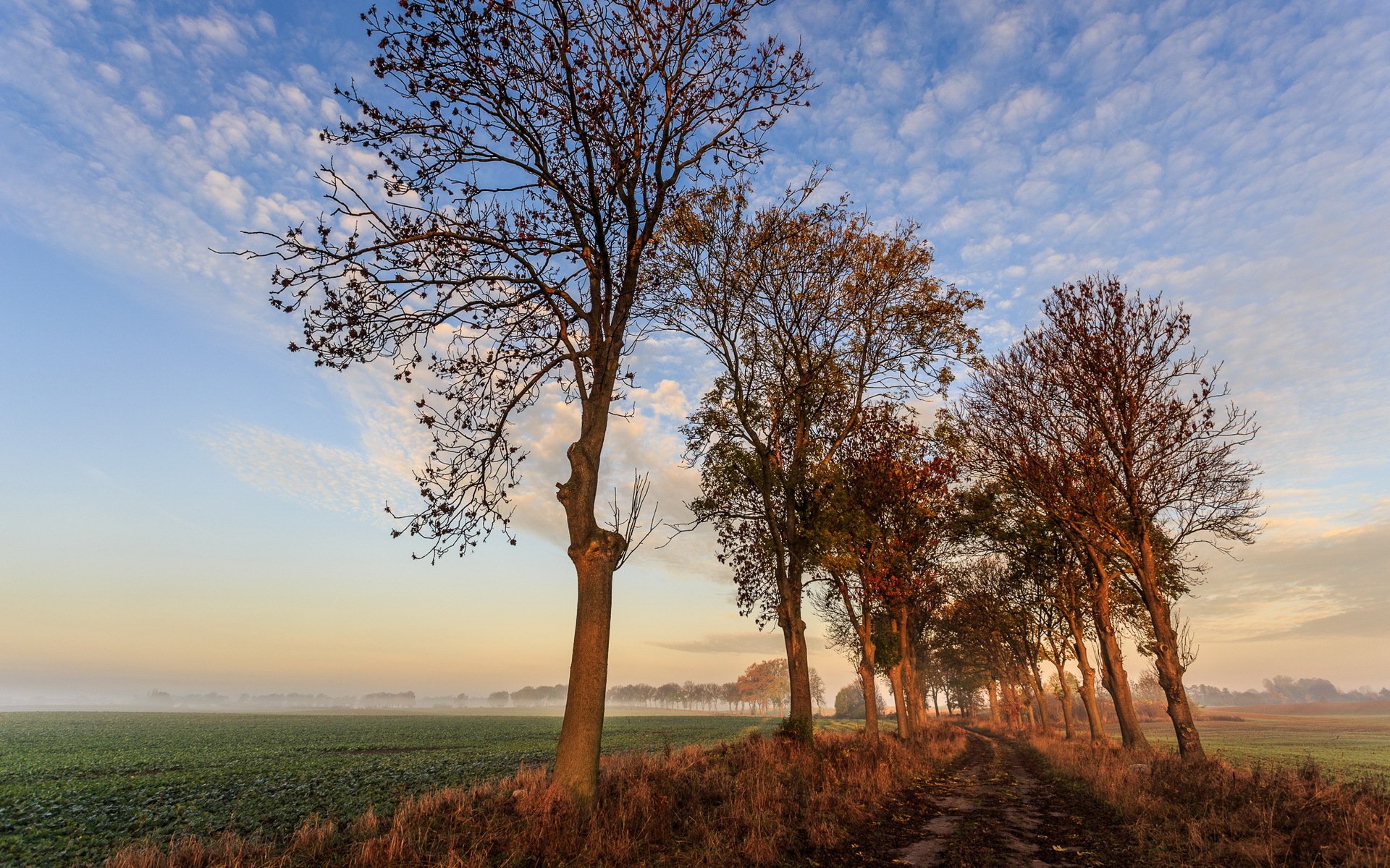 primo tocco di sole autunno natura