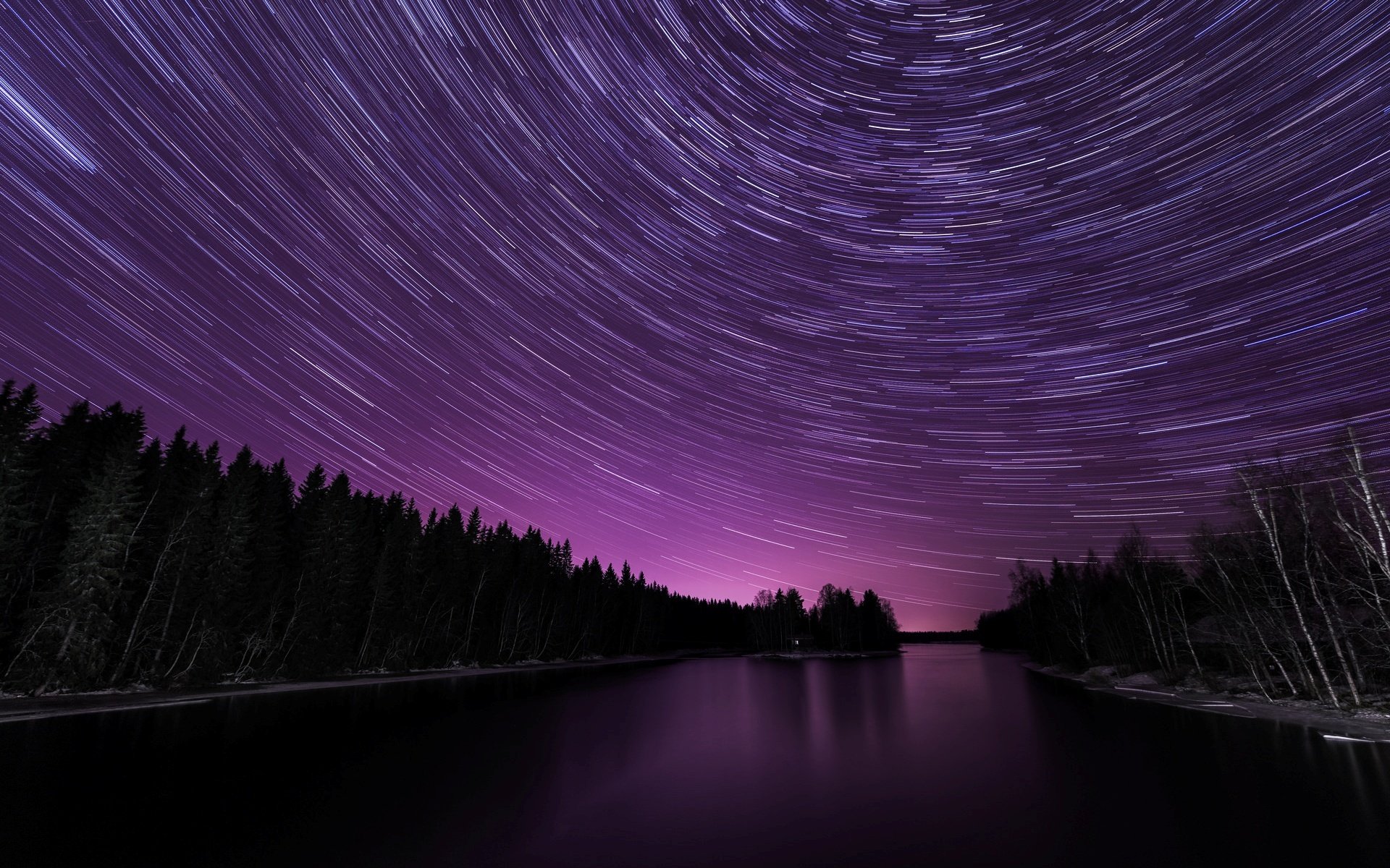 natura alberi fiume fiume mare acqua notte sera stelle