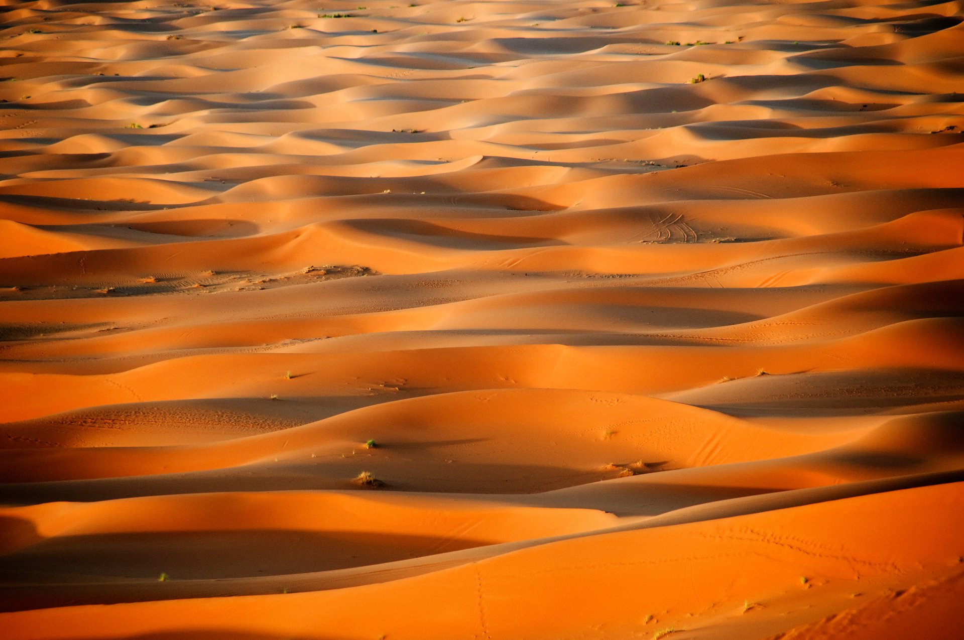 africa marocco deserto sahara dune