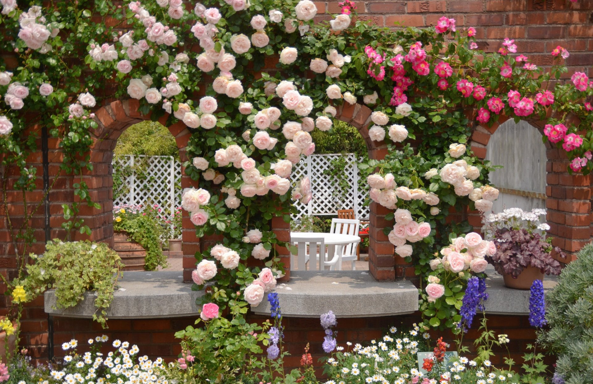 giardino rose margherite fiori