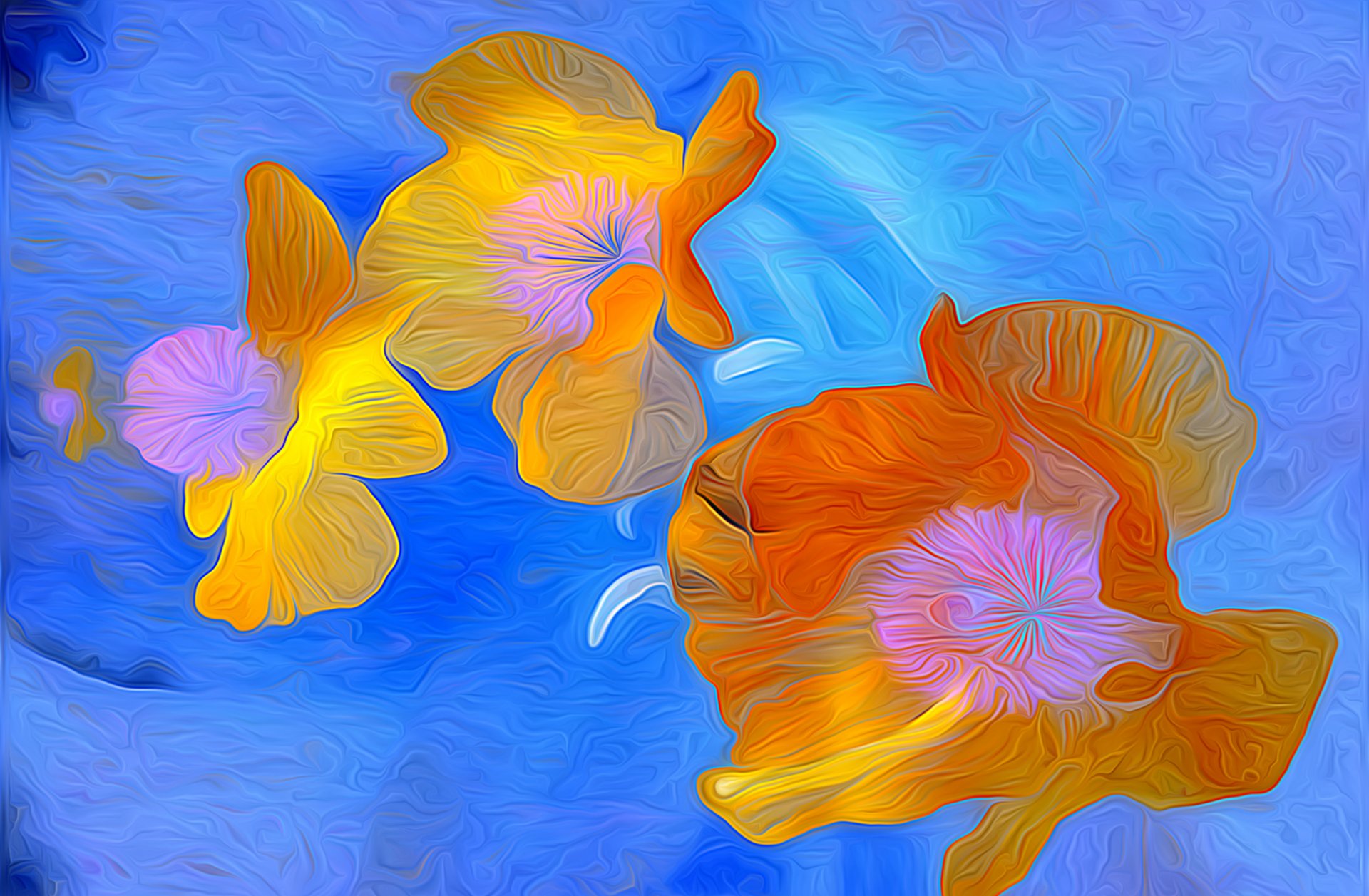 acqua fiori petali linee rendering