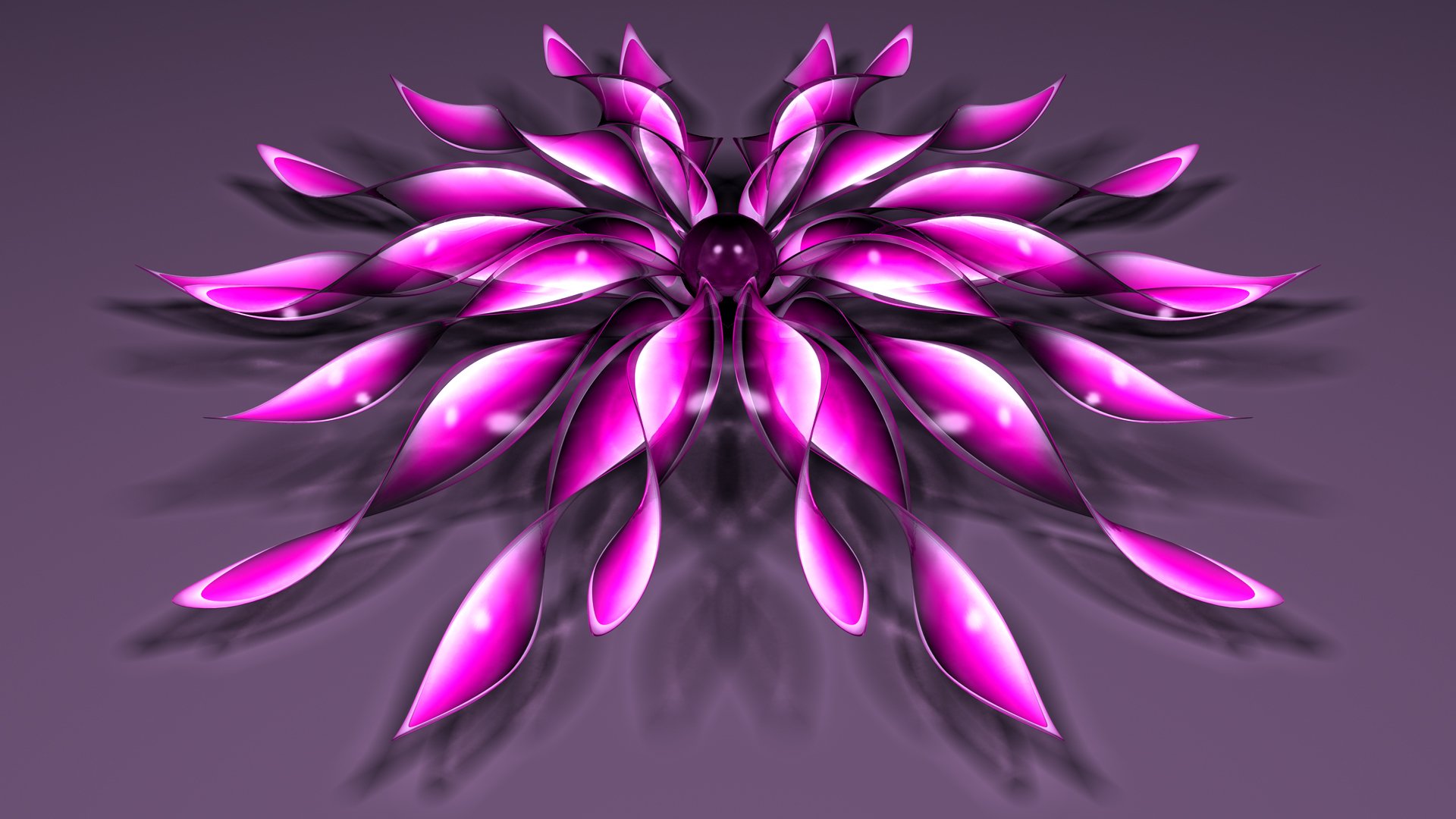 fiore petali palla sfondo