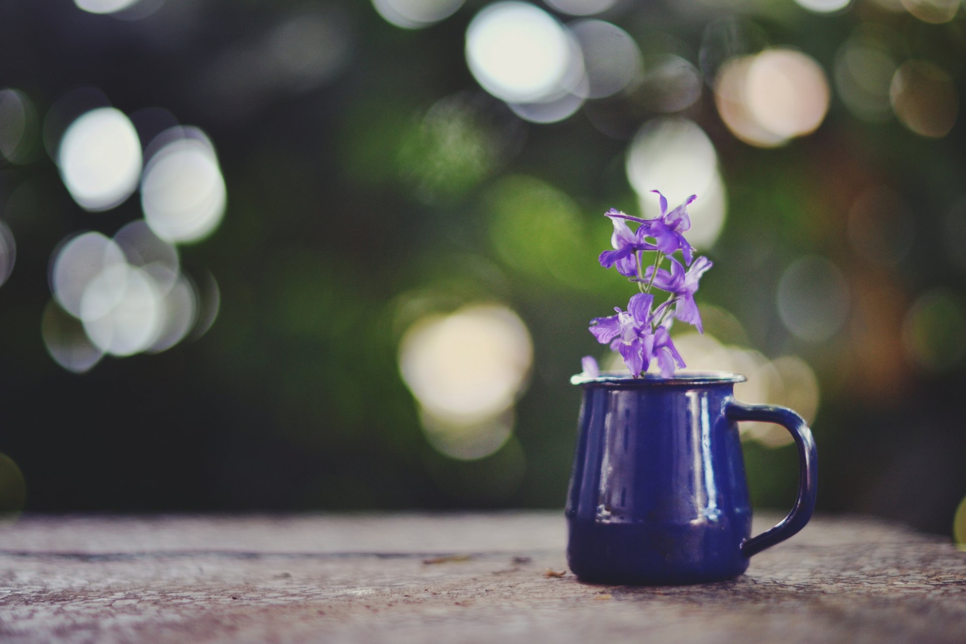tazza fiore viola abbagliamento