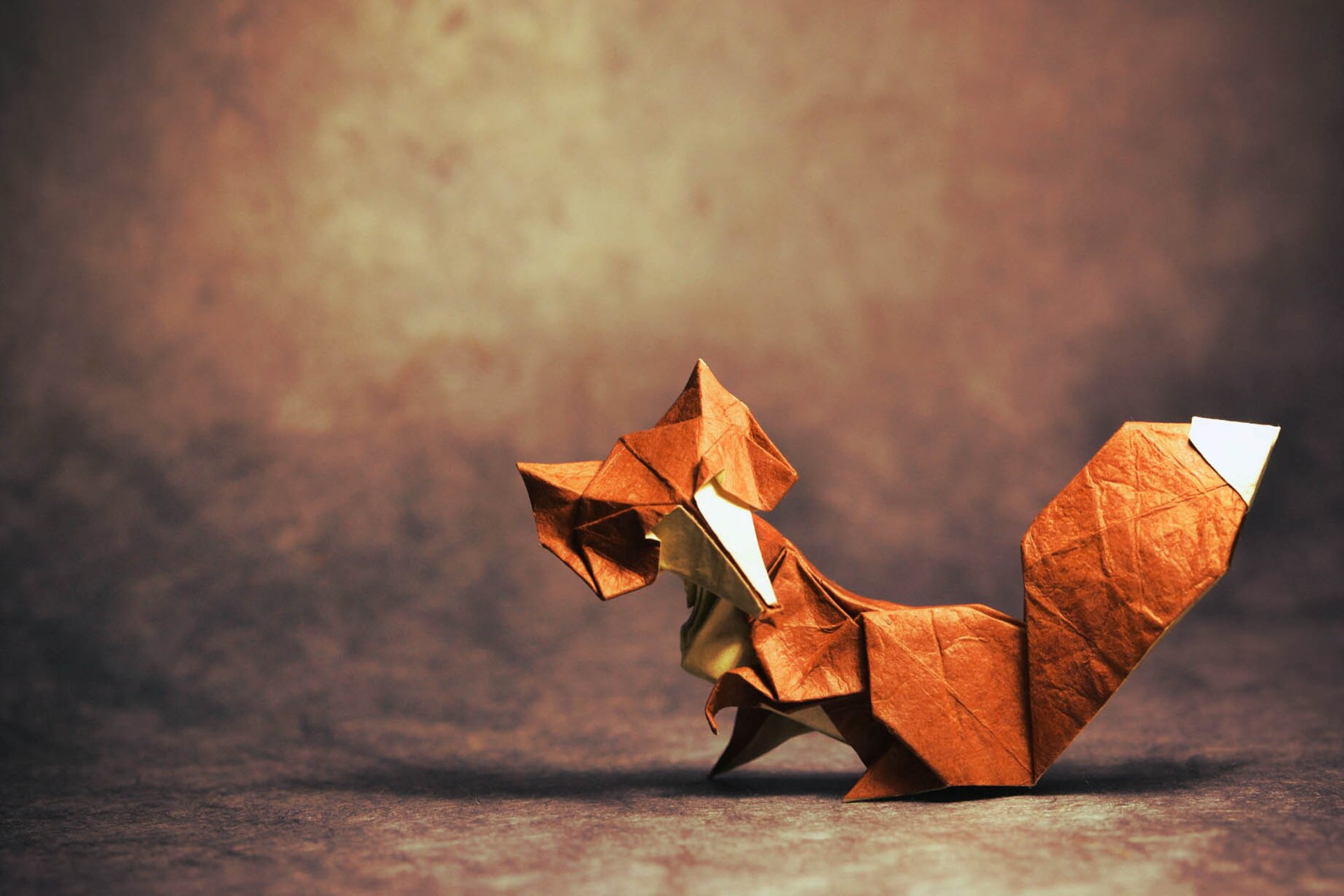 origami volpe cercando coda ombra cercando
