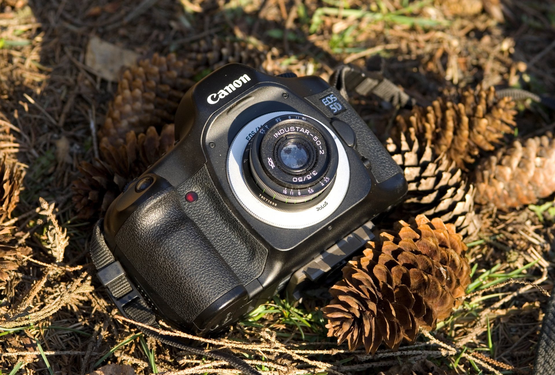 macchina fotografica canon urti sfondo sfocatura