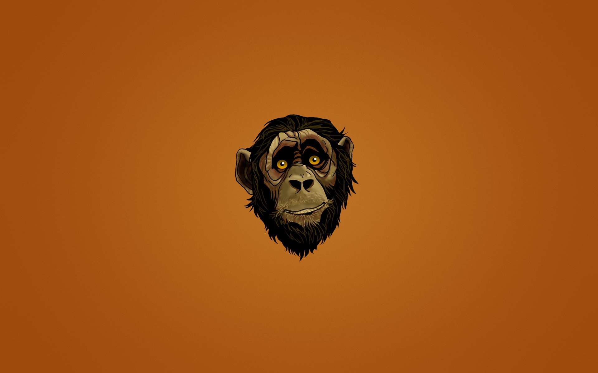 scimmia muso testa viso sguardo sfondo scuro minimalismo