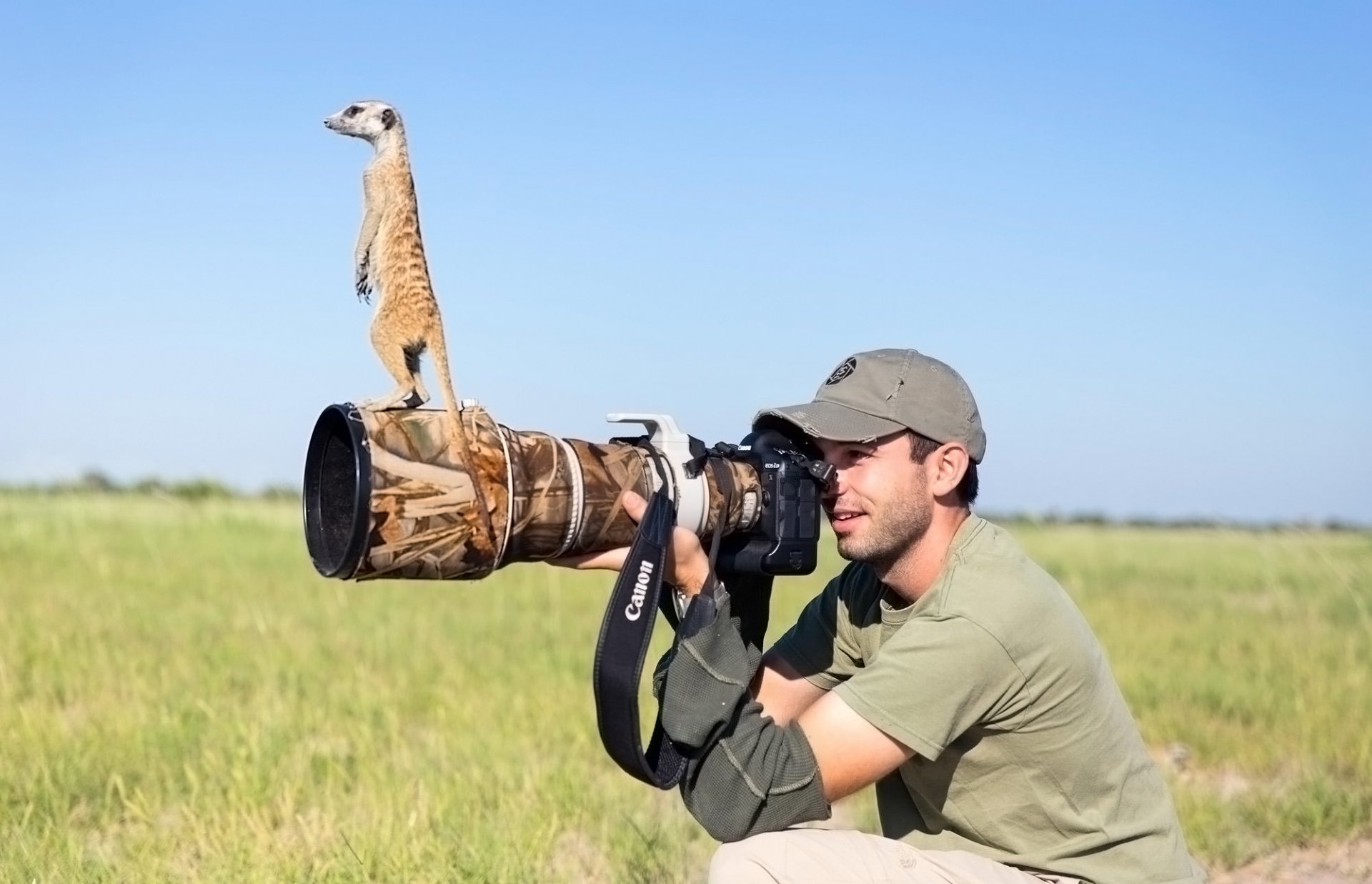 fotografo meerkat lente