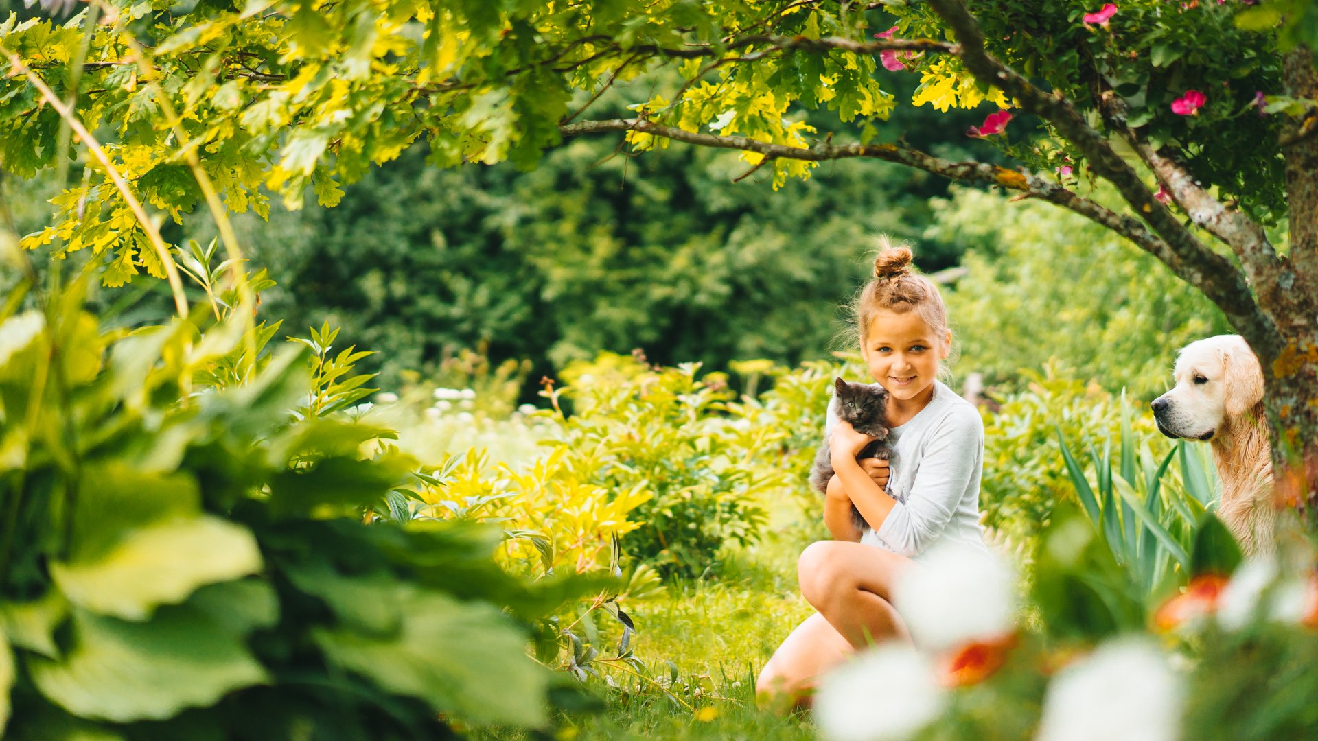 ragazza cane amici umore natura
