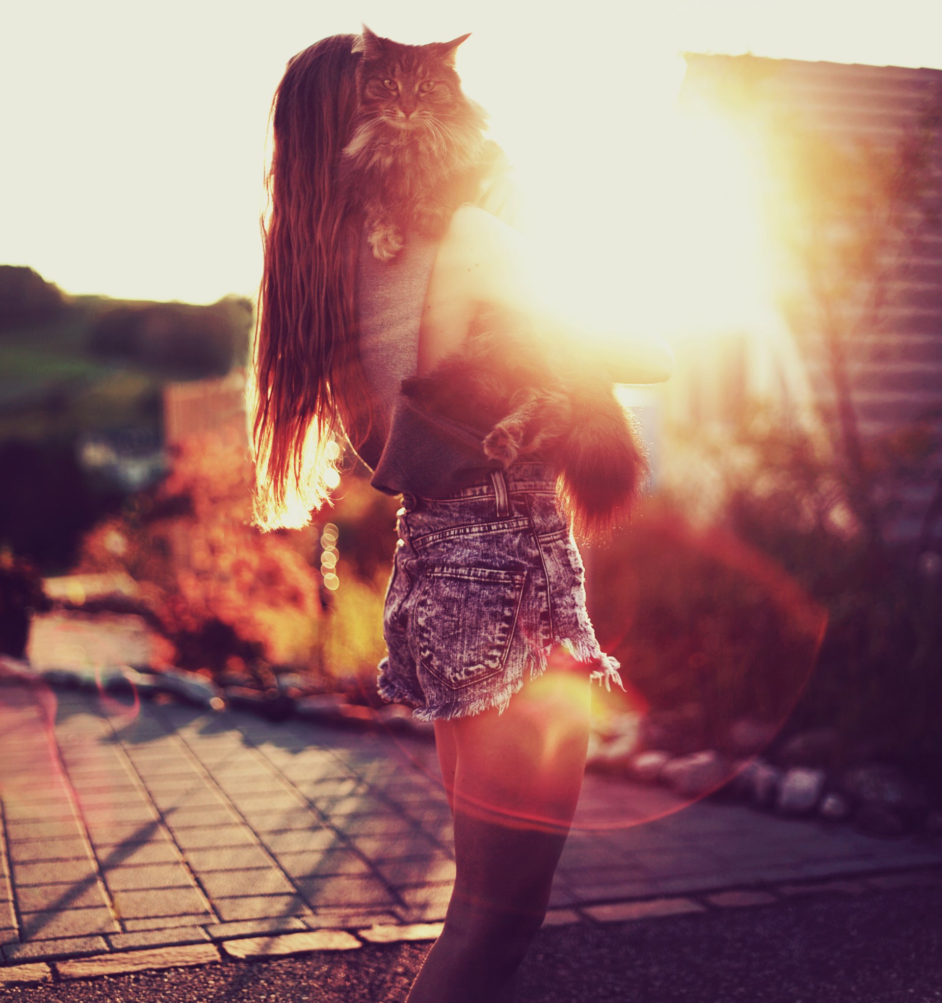 ragazza bokeh sole umore gatto