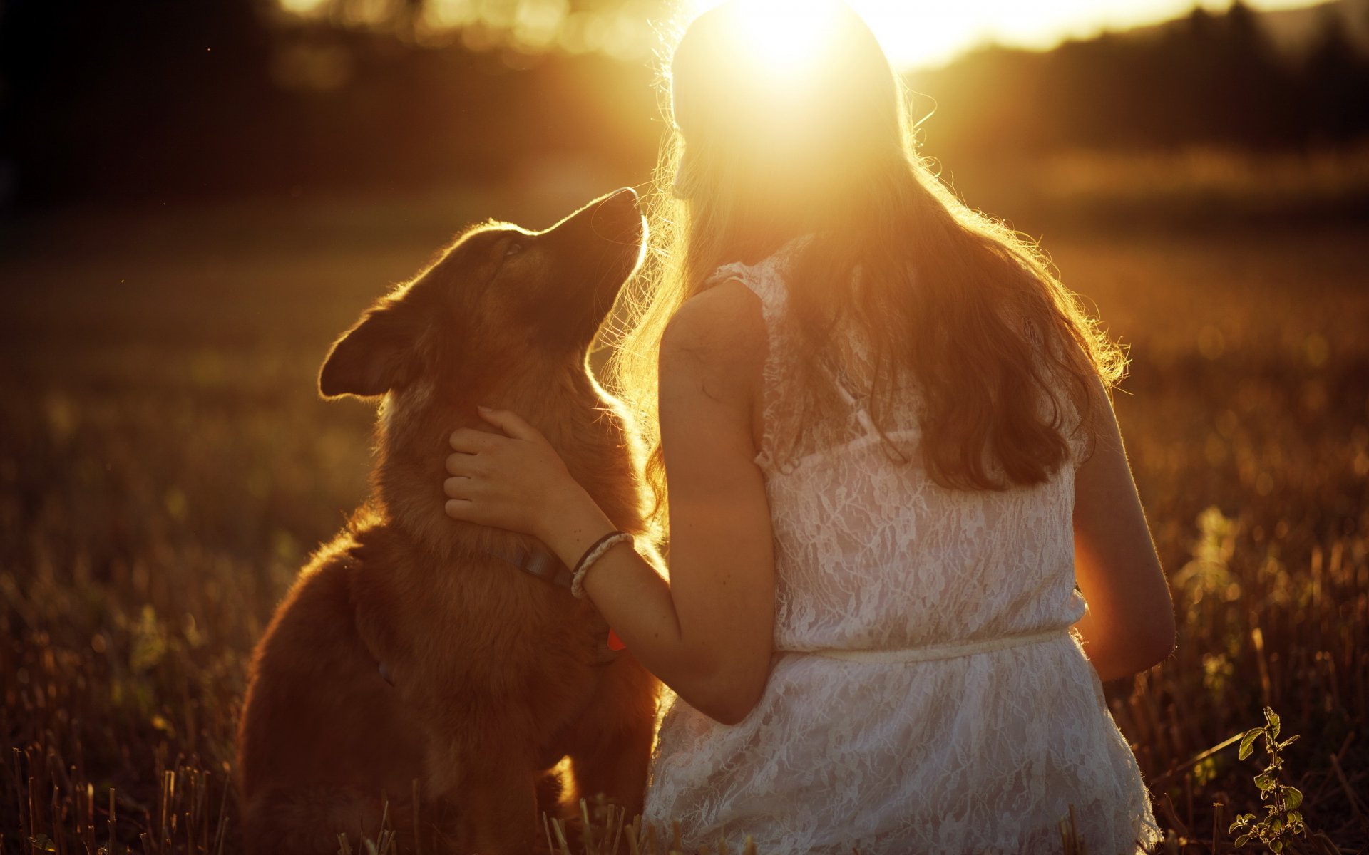 ragazza cane luce umore