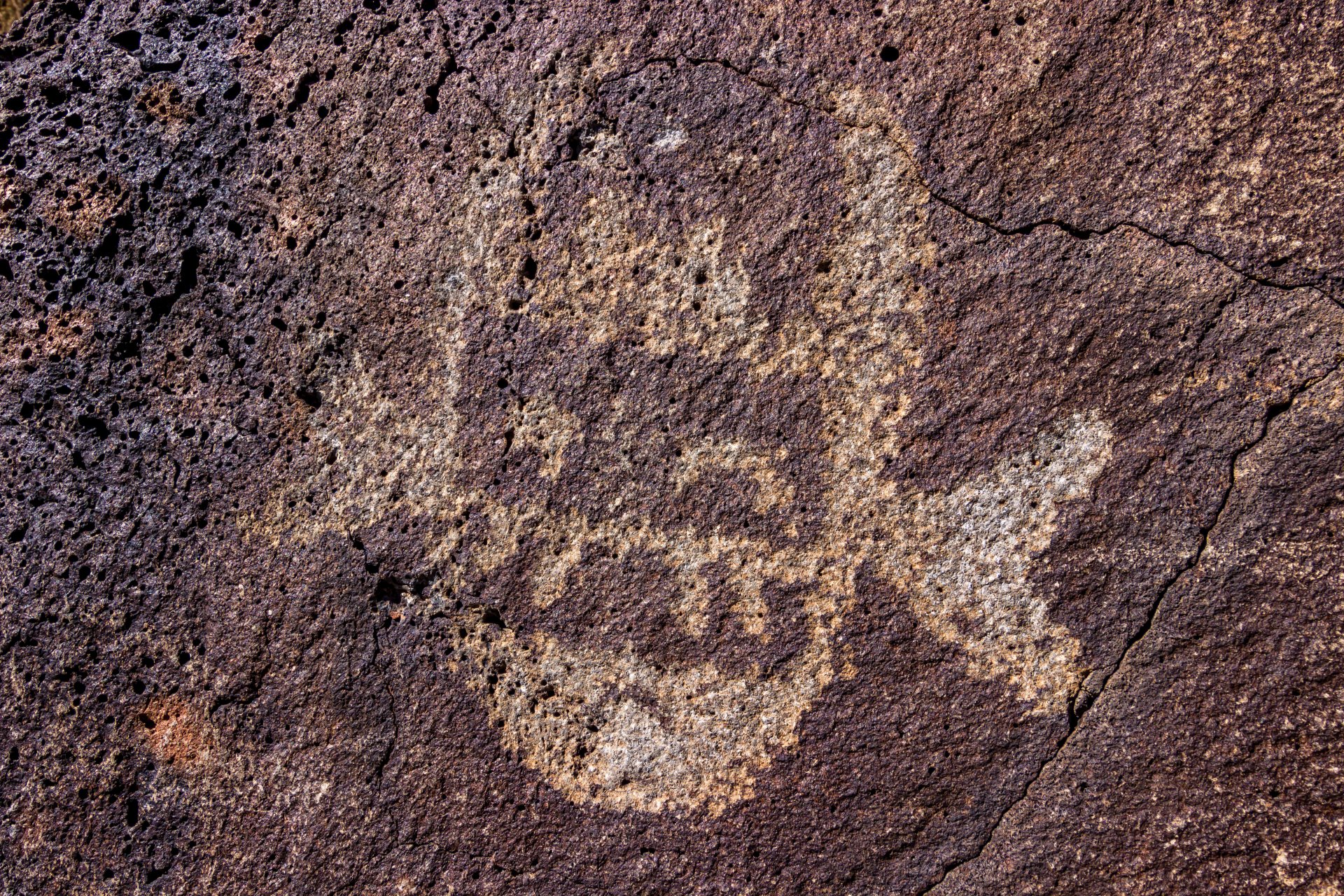 nuovo messico petroglifi antichità pietra