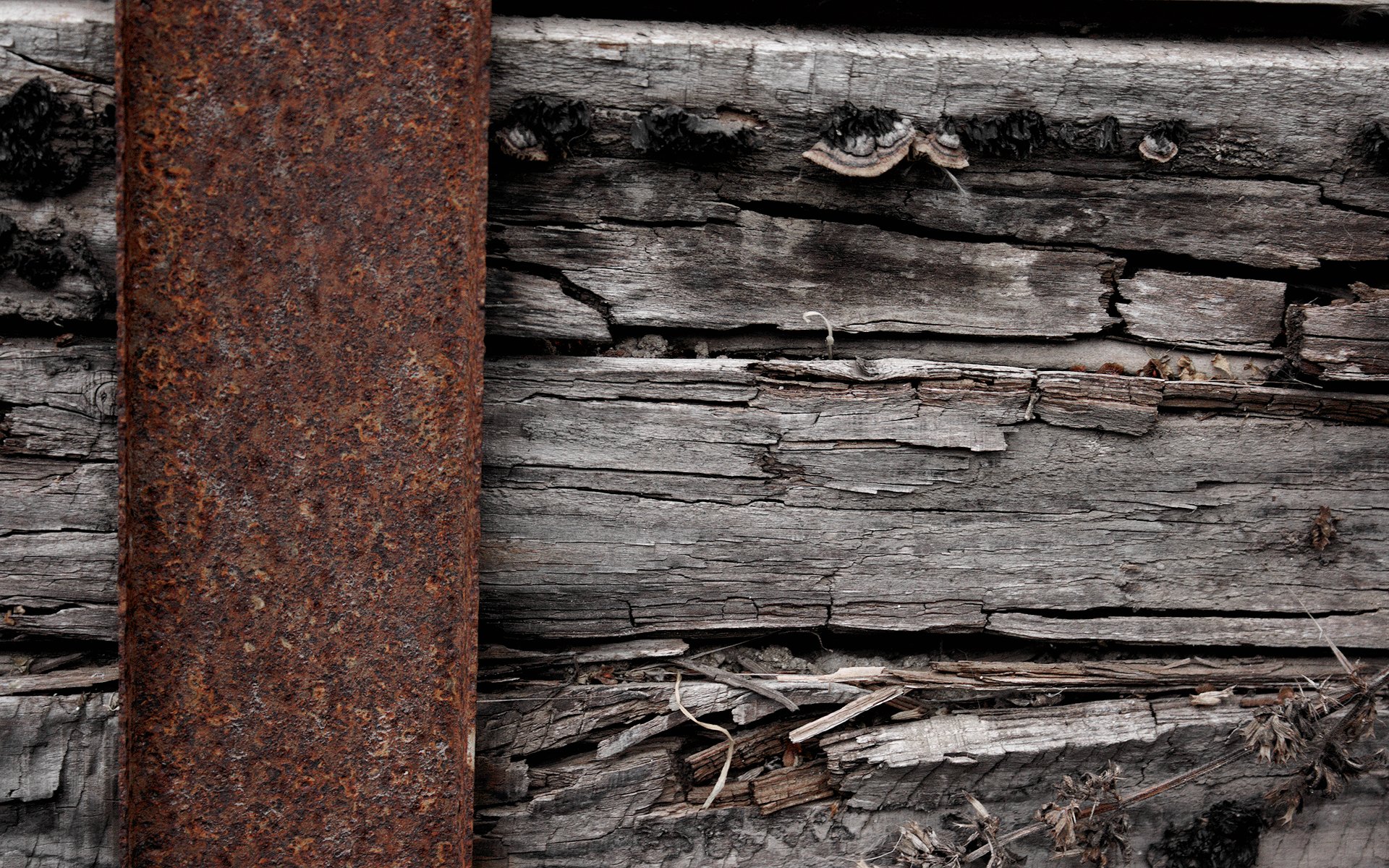 ossido metallo legno