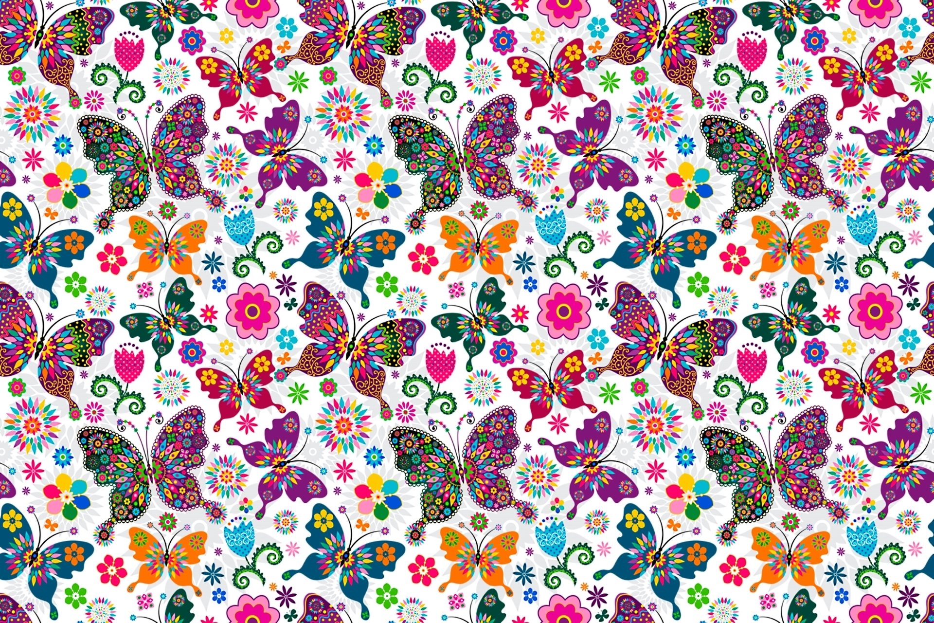 farfalle modello ali