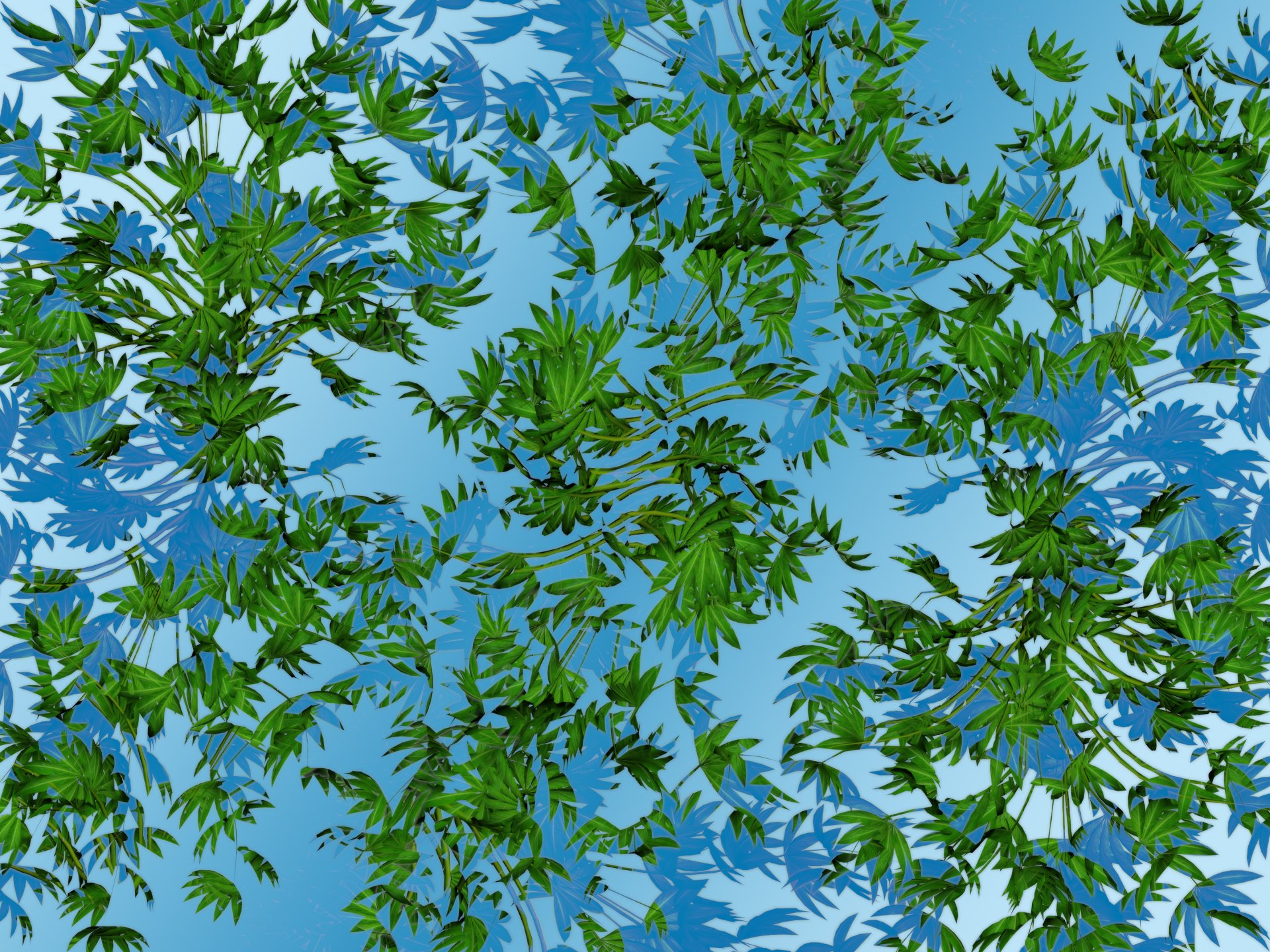 foglie verde rami ombra acqua cielo