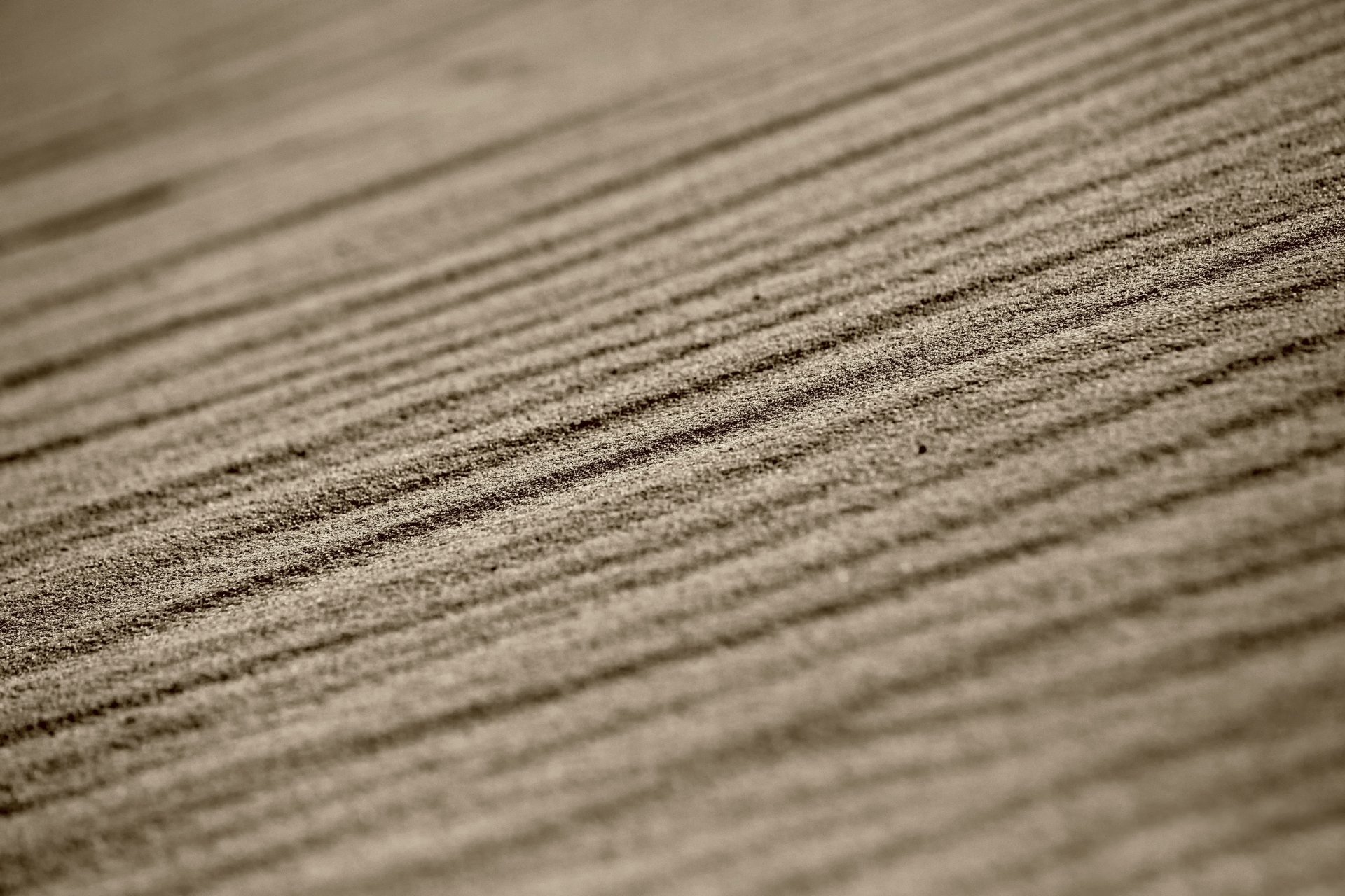 sabbia linee macro bokeh