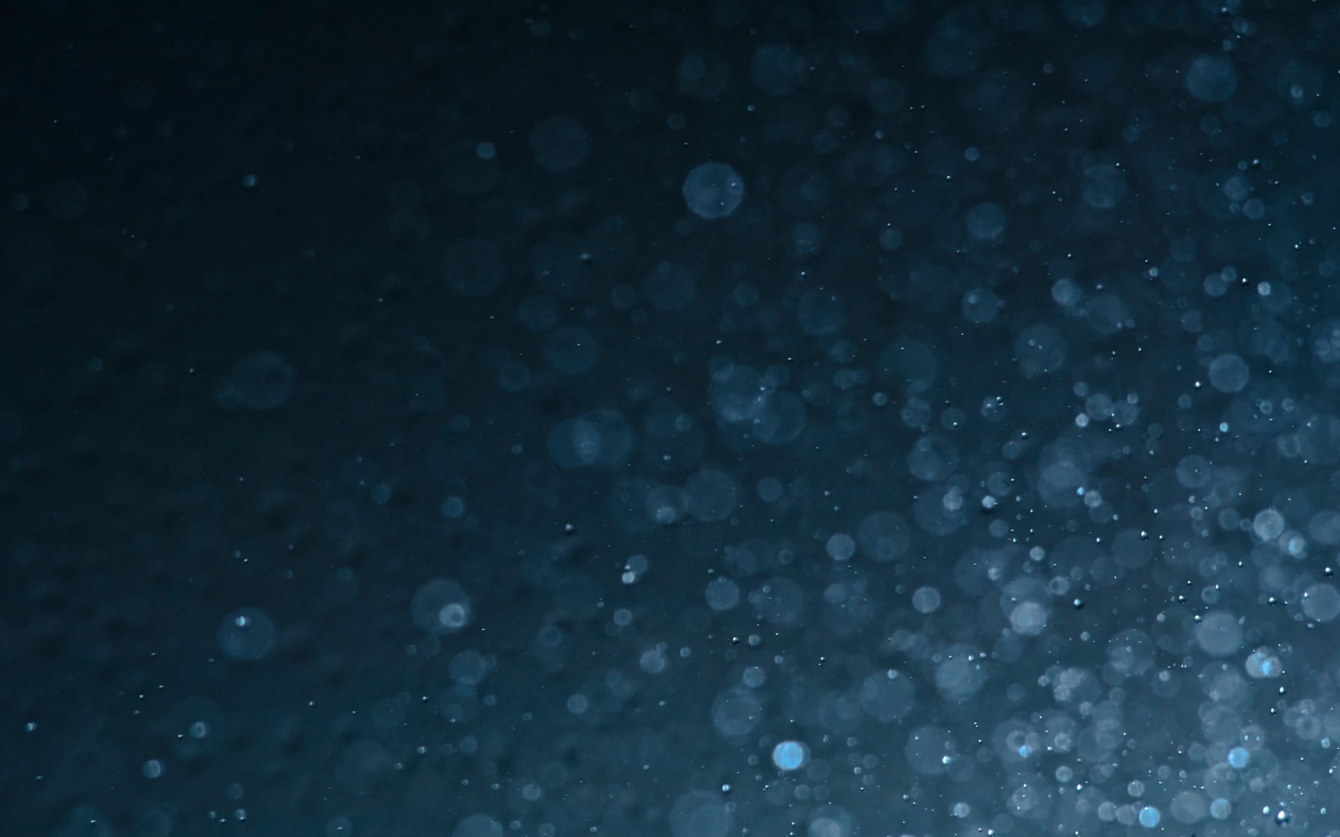 scuro chiaro pacifico