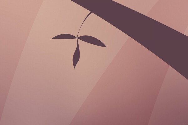 Foglia su un albero su sfondo rosa