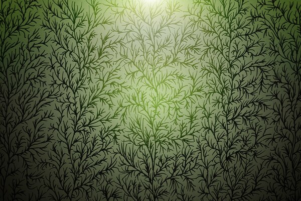 Sfondo con piante verdi su bianco