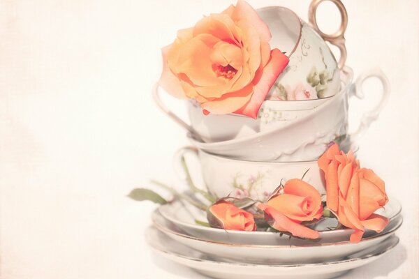 Tazze decorate con foglie di rosa tè